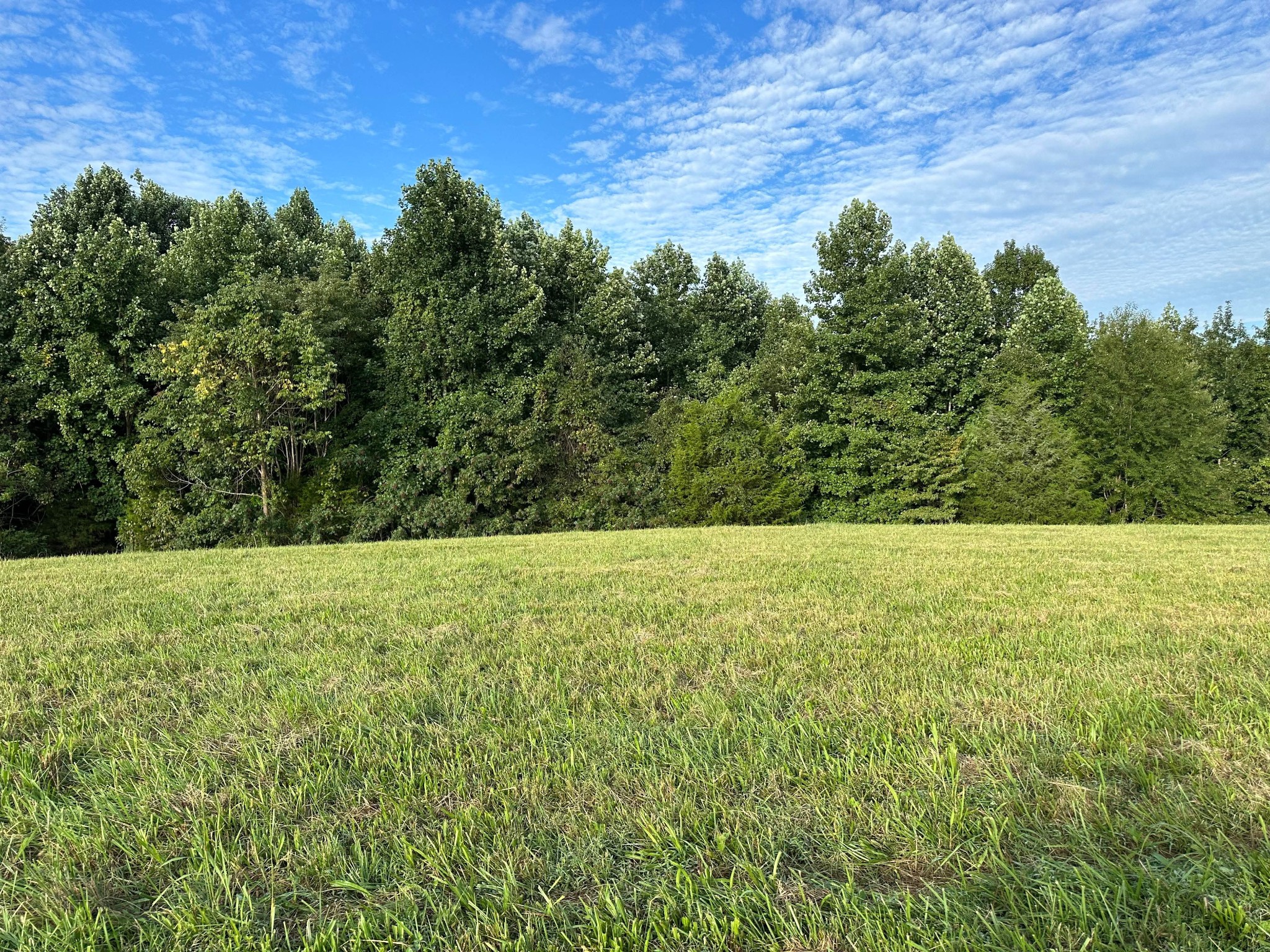 0 Knob Creek Rd Property Photo 2