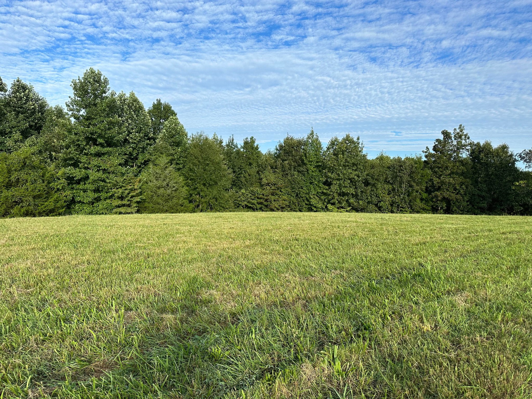 0 Knob Creek Rd Property Photo 3