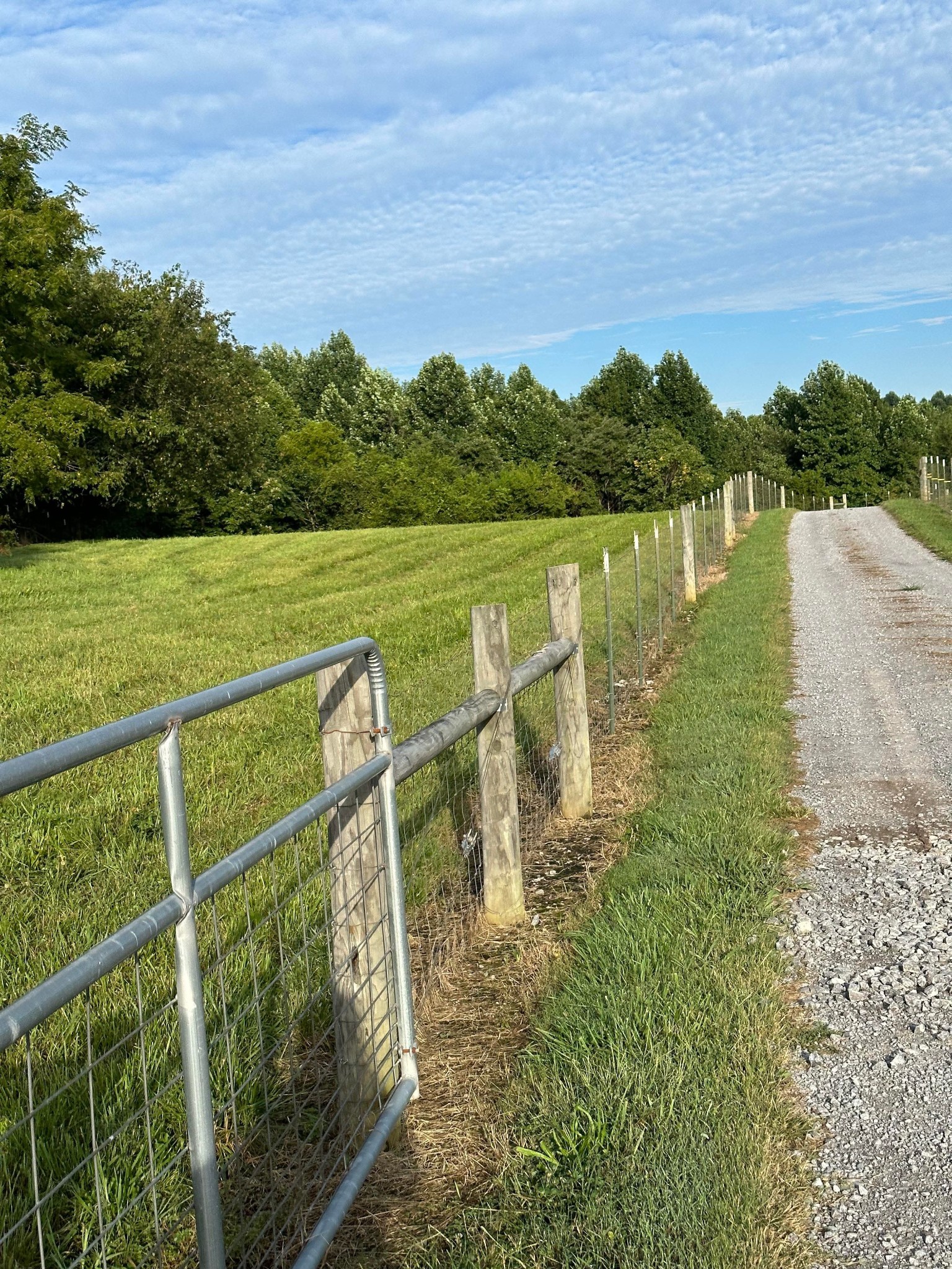 0 Knob Creek Rd Property Photo 6