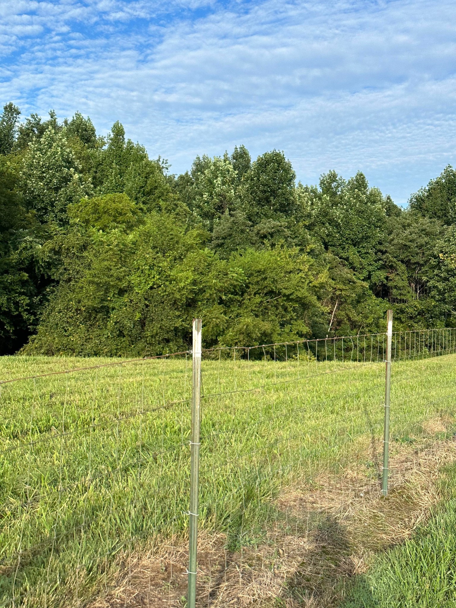0 Knob Creek Rd Property Photo 8