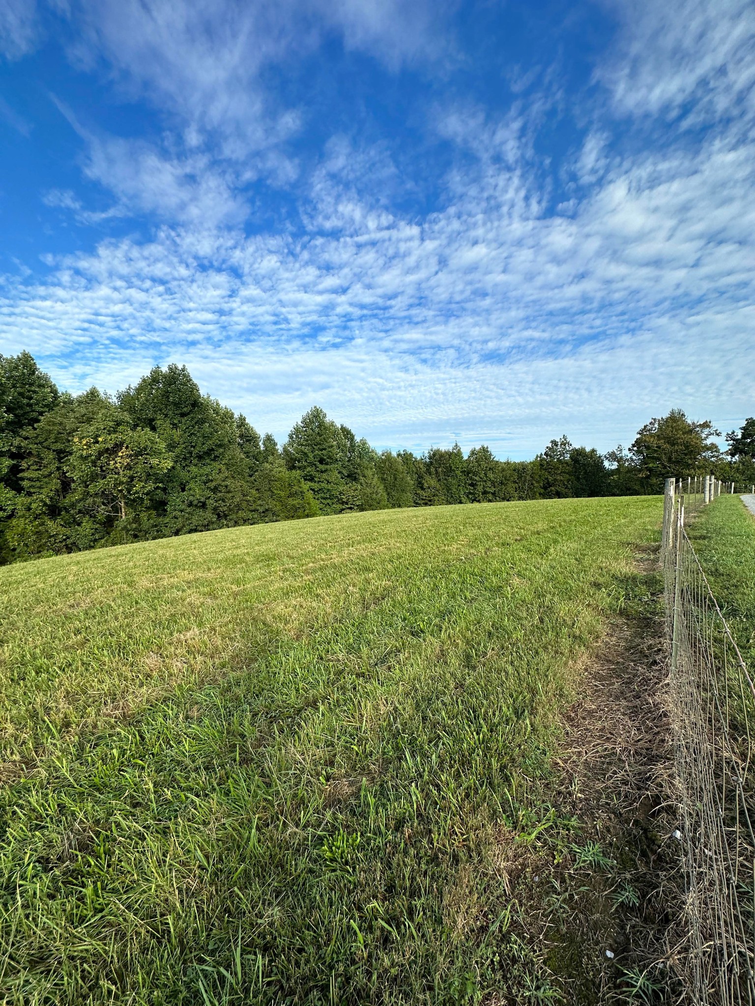 0 Knob Creek Rd Property Photo 11