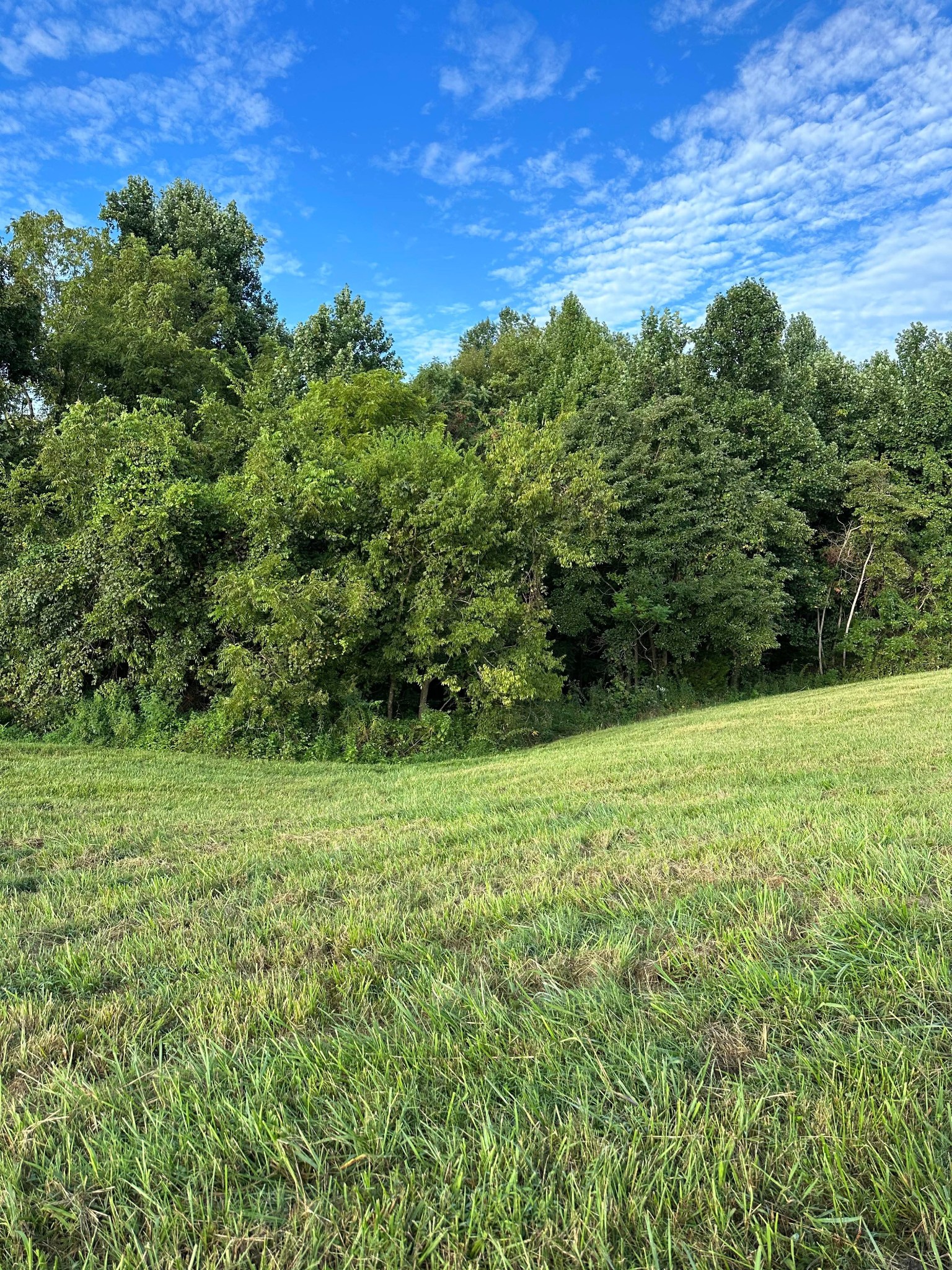 0 Knob Creek Rd Property Photo 12