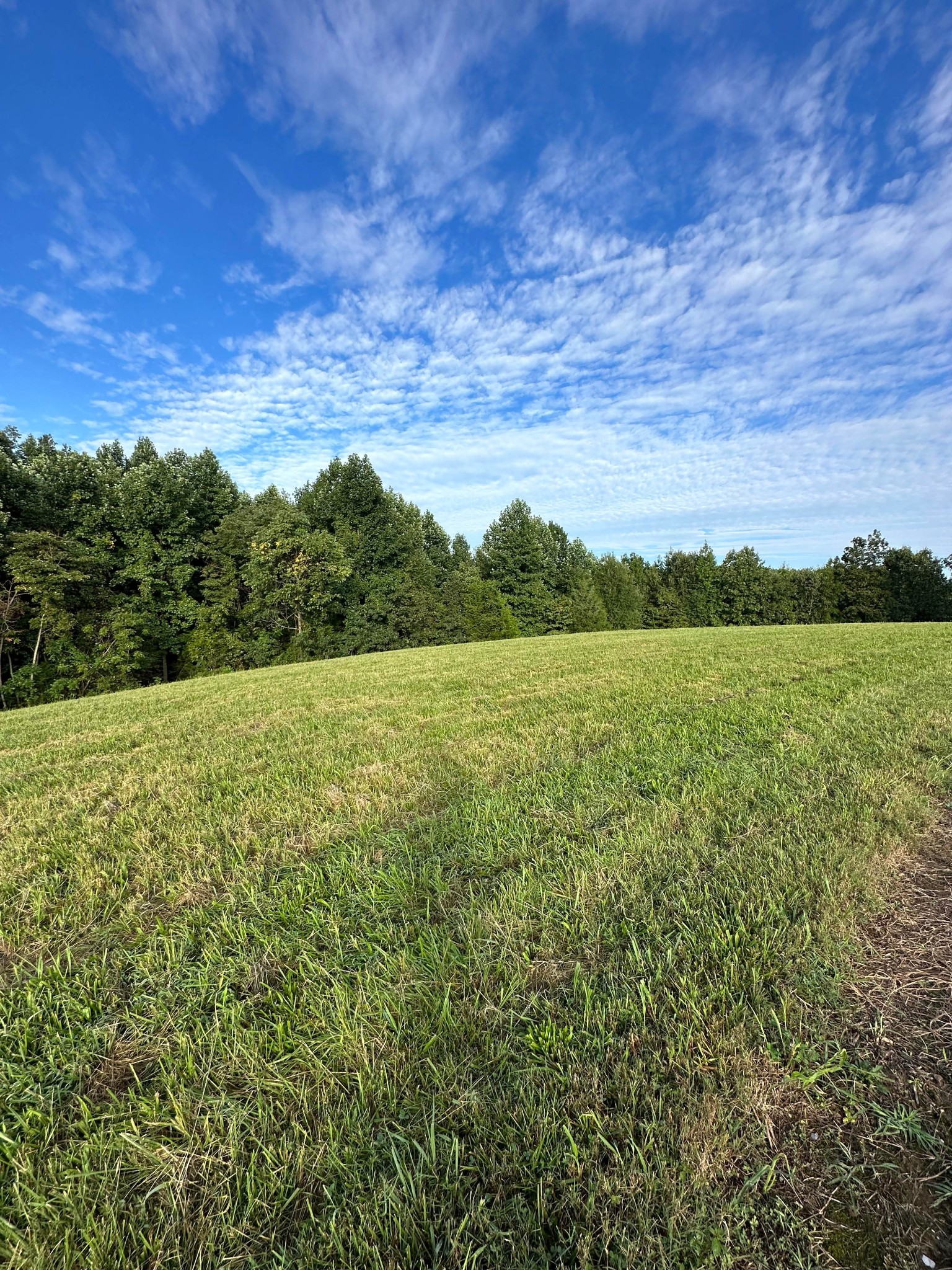 0 Knob Creek Rd Property Photo 13