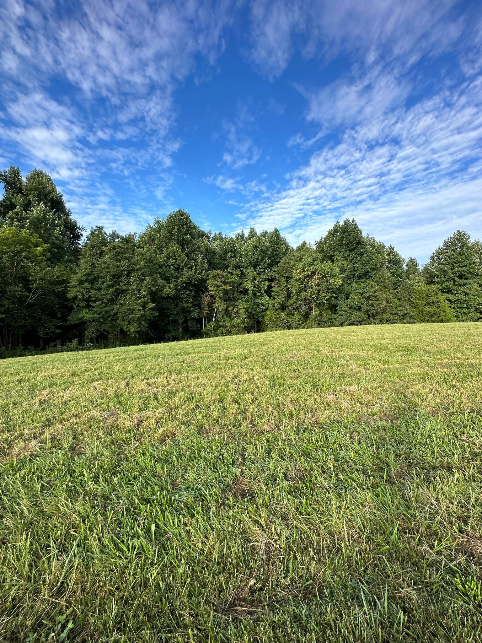 0 Knob Creek Rd Property Photo 14