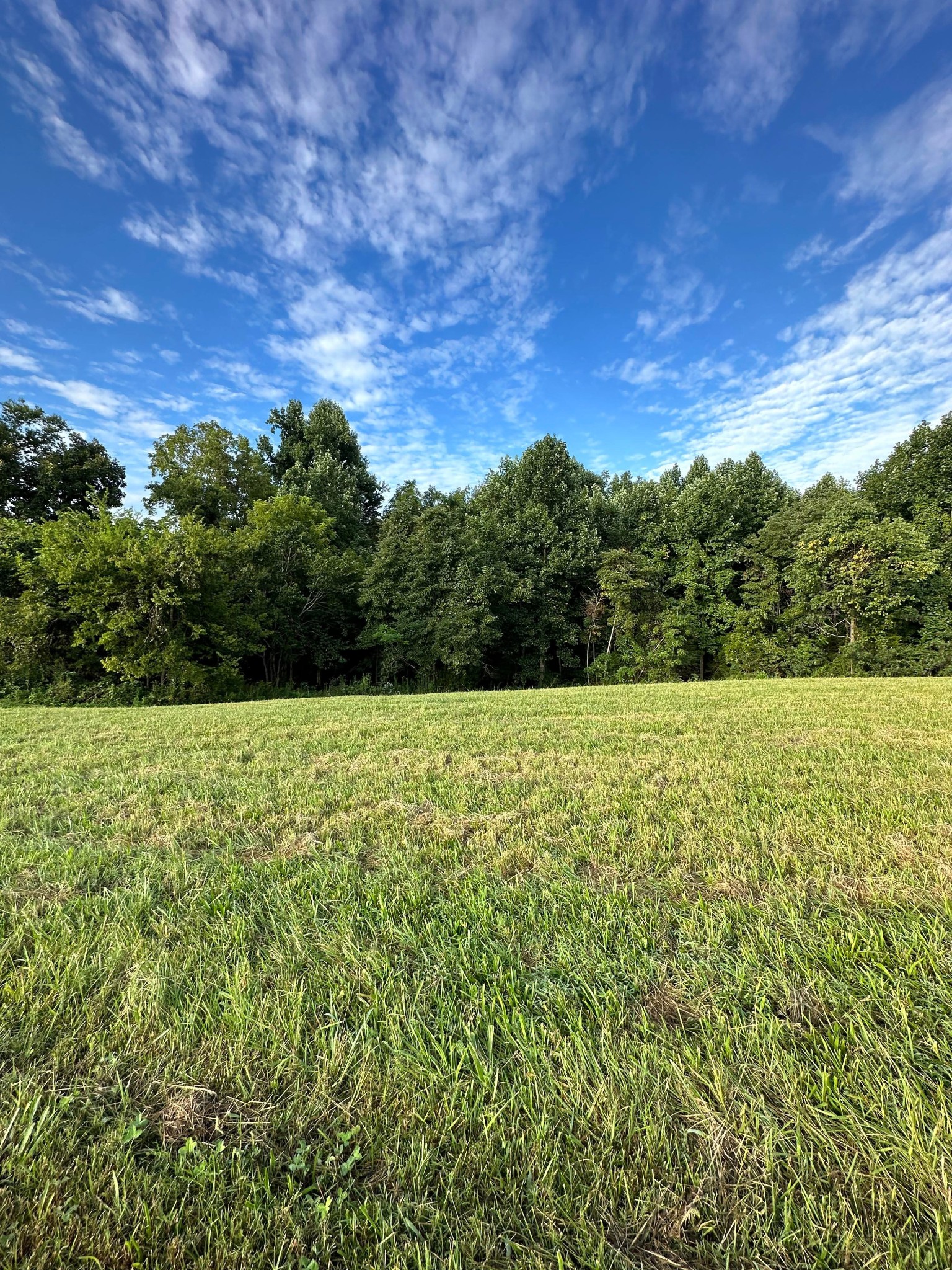 0 Knob Creek Rd Property Photo 15