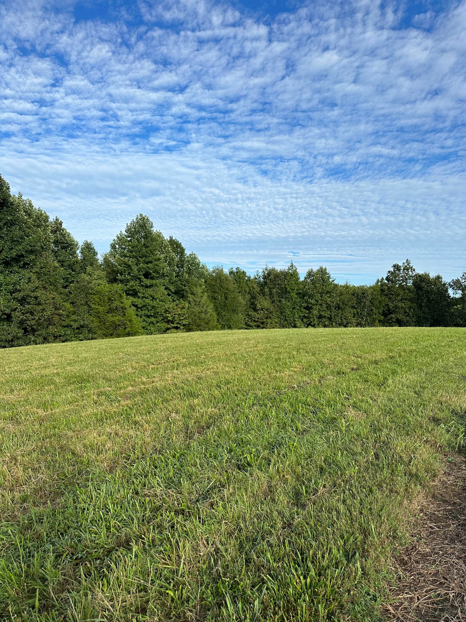 0 Knob Creek Rd Property Photo 16
