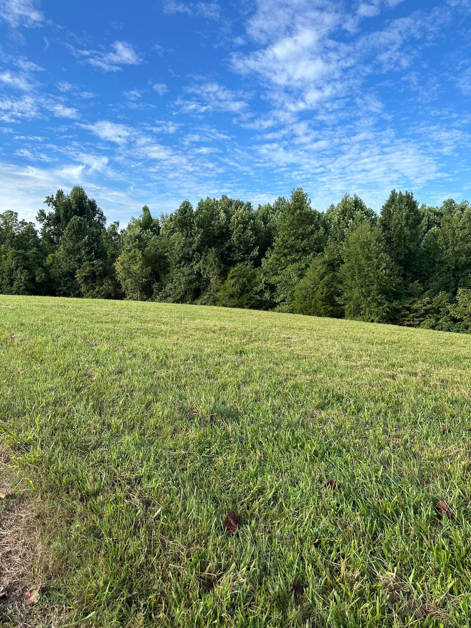0 Knob Creek Rd Property Photo 19