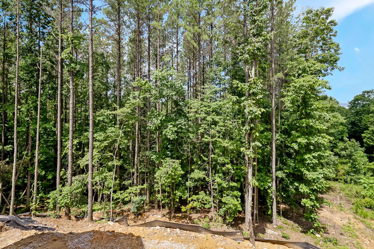 4545 Split Rail Way Property Photo 40