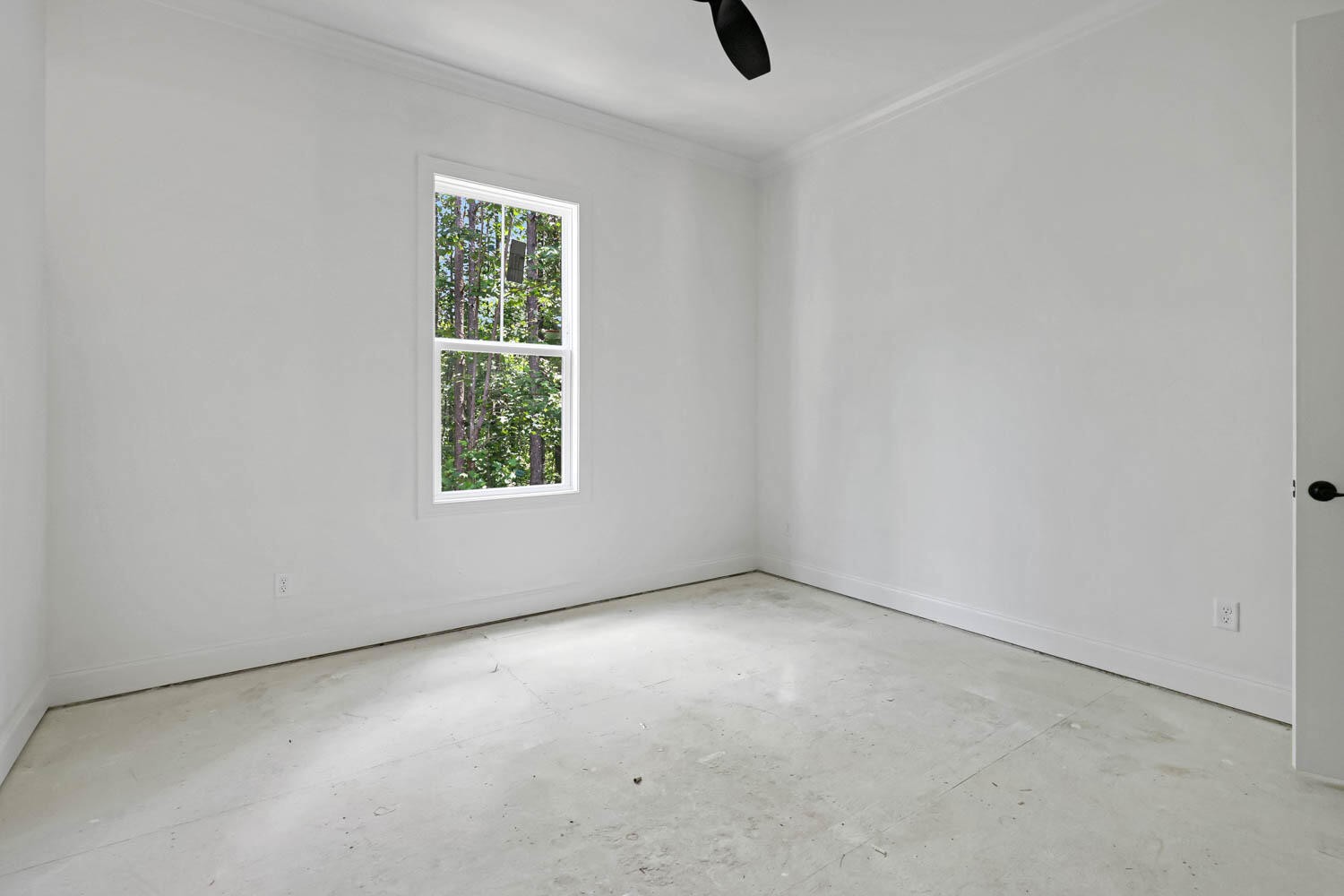 3741 Split Rail Way Property Photo 24