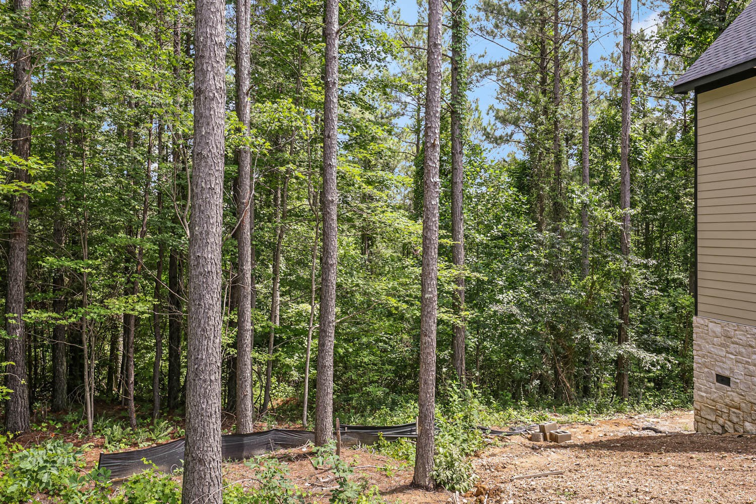 3741 Split Rail Way Property Photo 29