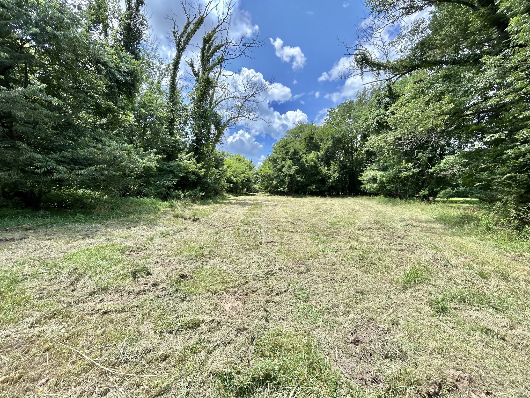 2 Hatchett Hollow Rd Property Photo 5