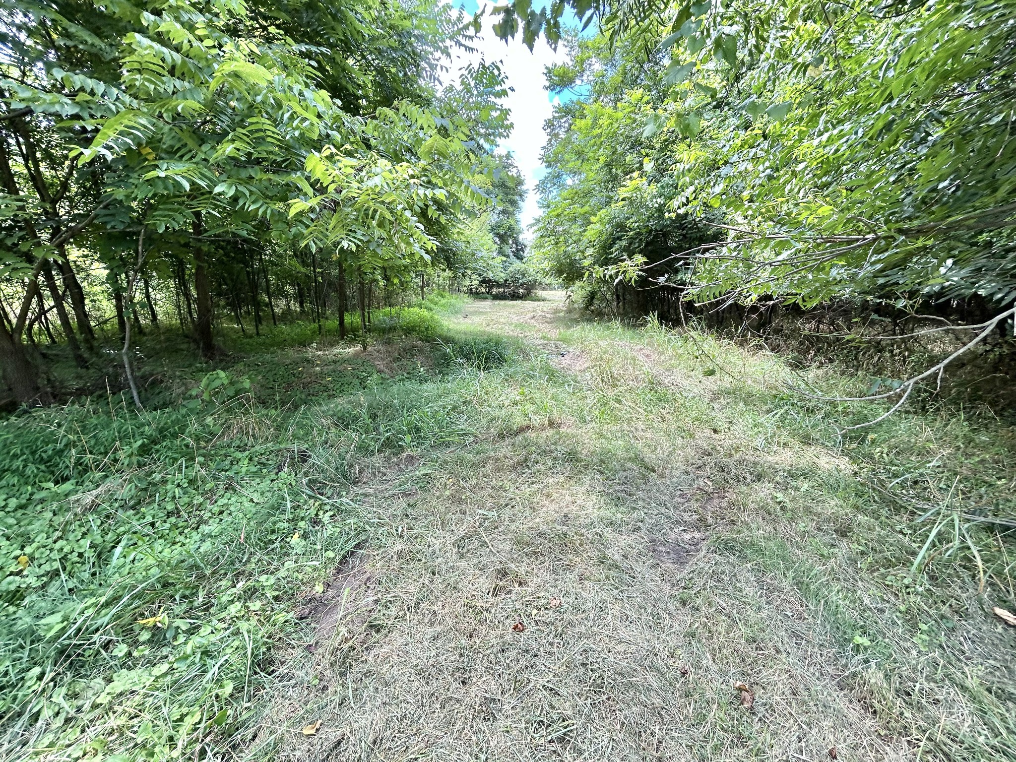 2 Hatchett Hollow Rd Property Photo 6
