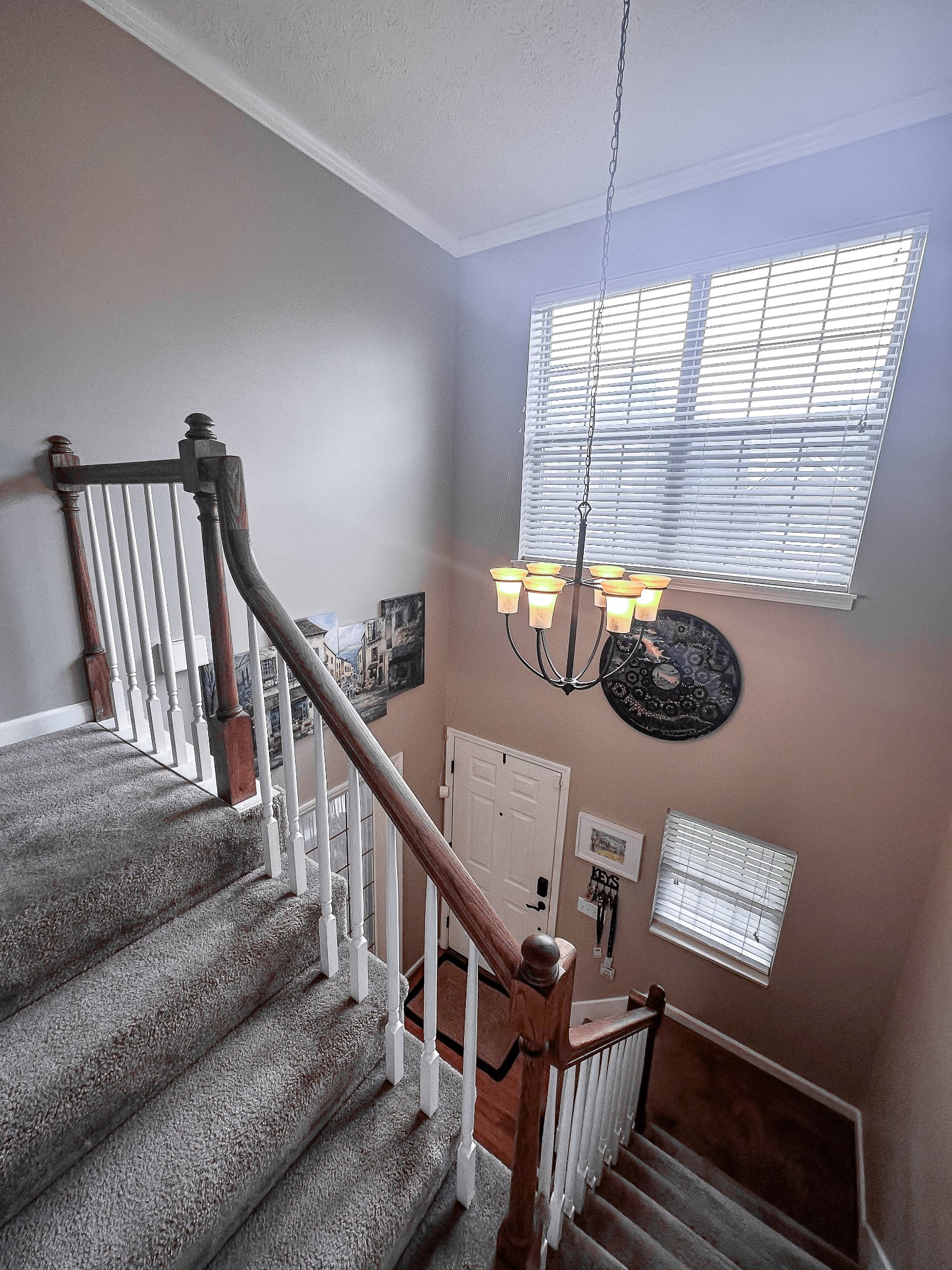 2952 Melbourne Ter Property Photo 19