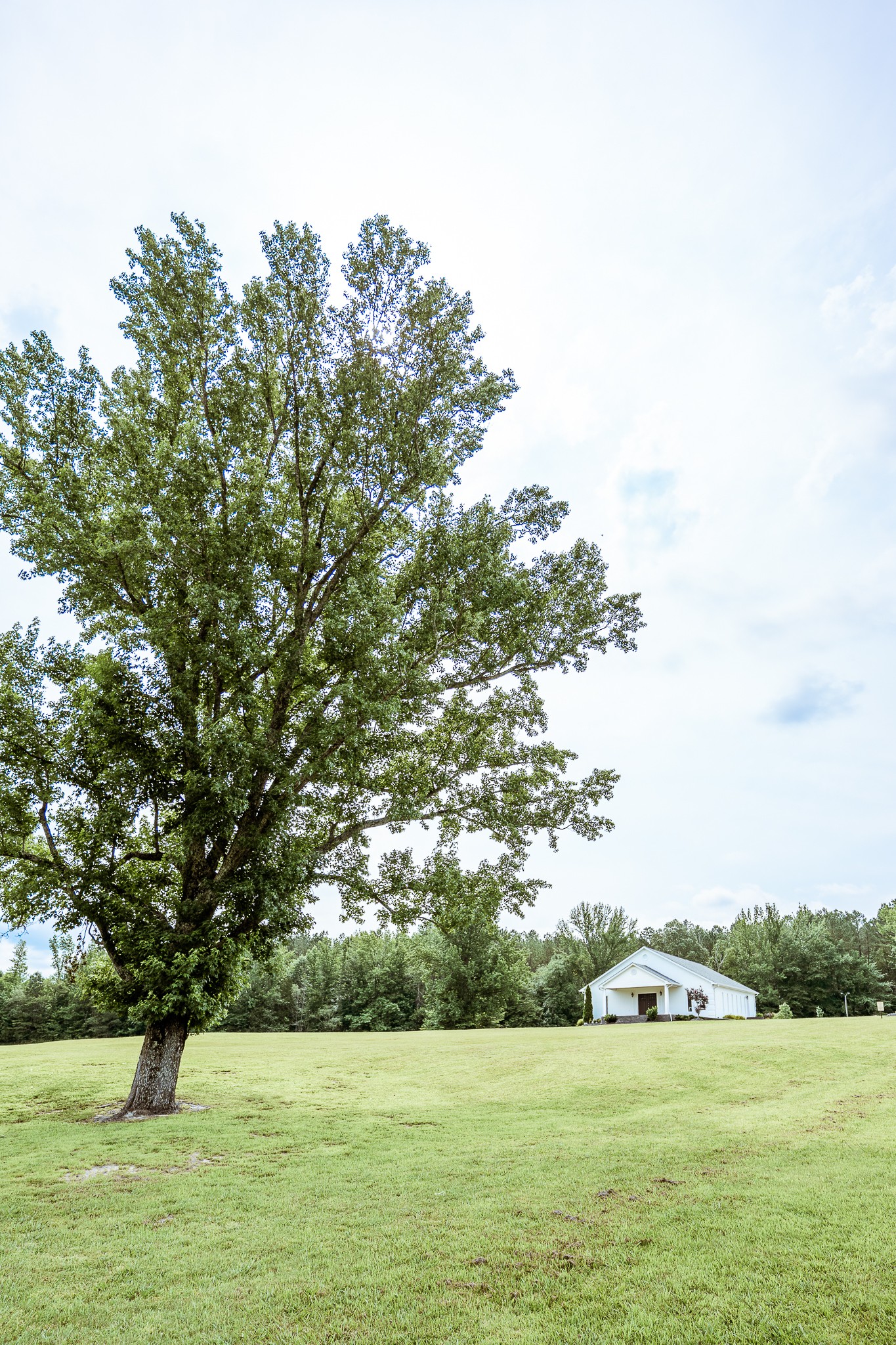 3375 Rowland Mill Rd Property Photo 15