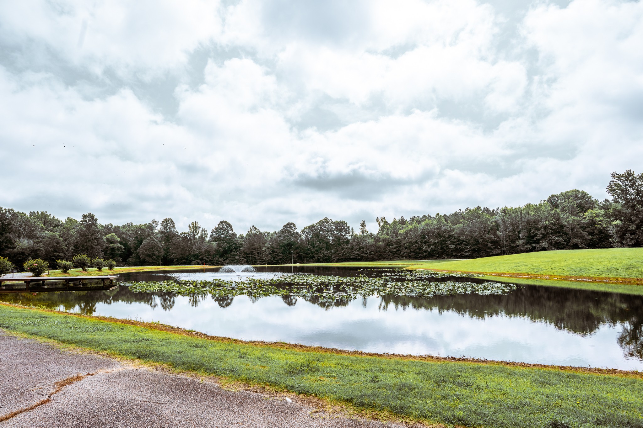 3375 Rowland Mill Rd Property Photo 25