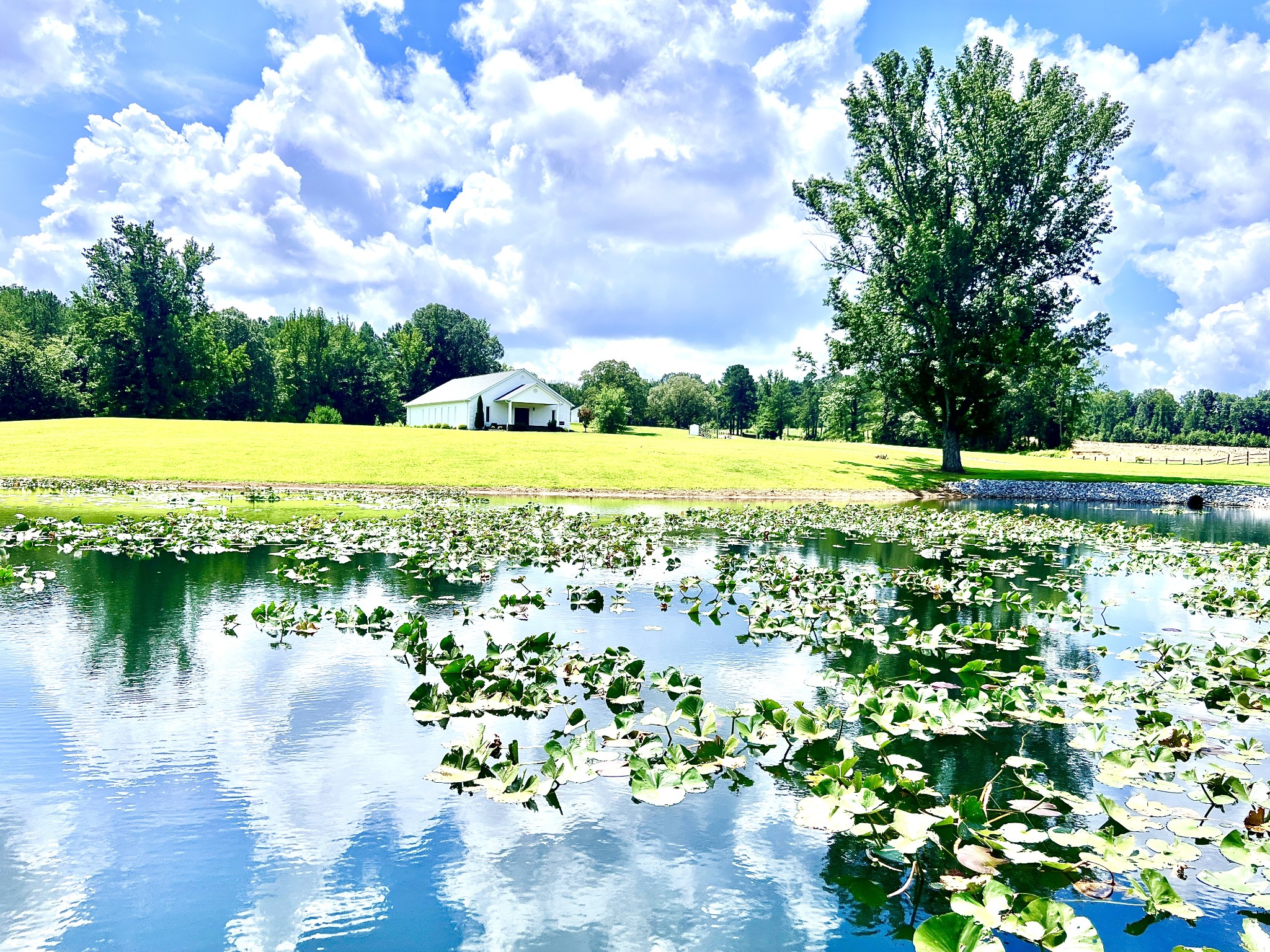 3375 Rowland Mill Rd Property Photo 71