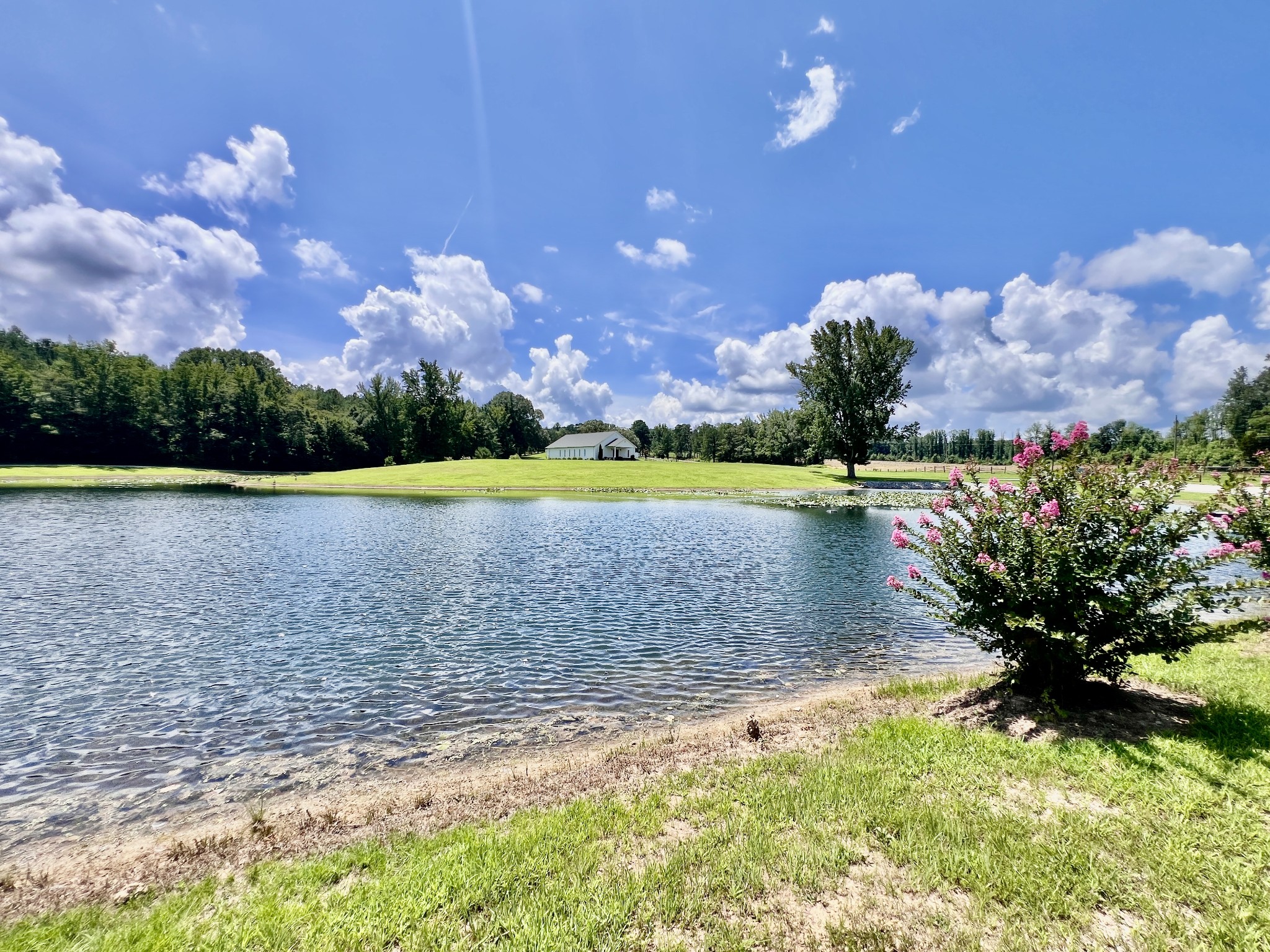 3375 Rowland Mill Rd Property Photo 90