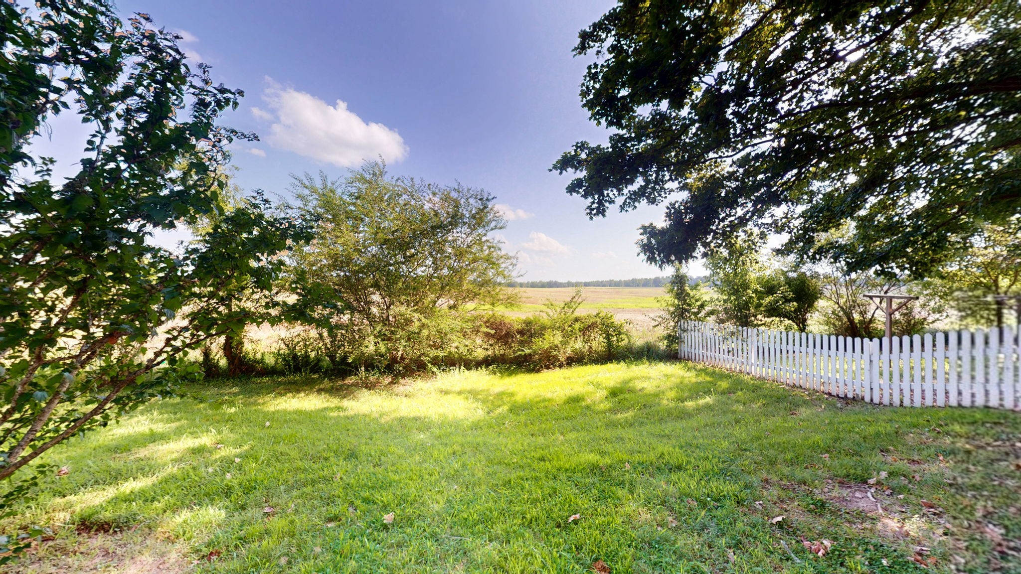 10665 Highway 54 Property Photo 31