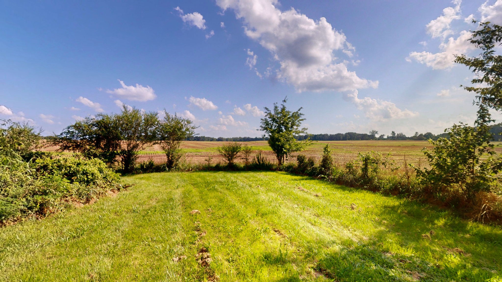 10665 Highway 54 Property Photo 35