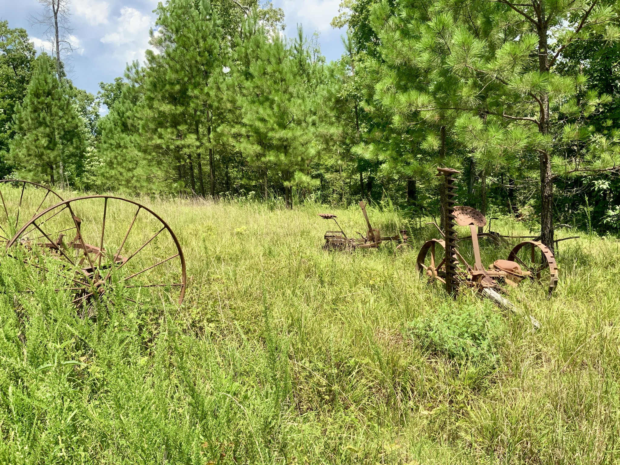 0 Bear Creek Road Property Photo 2