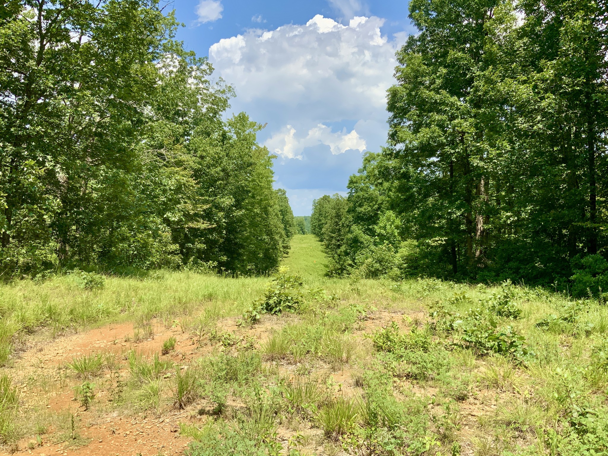 0 Bear Creek Road Property Photo 3