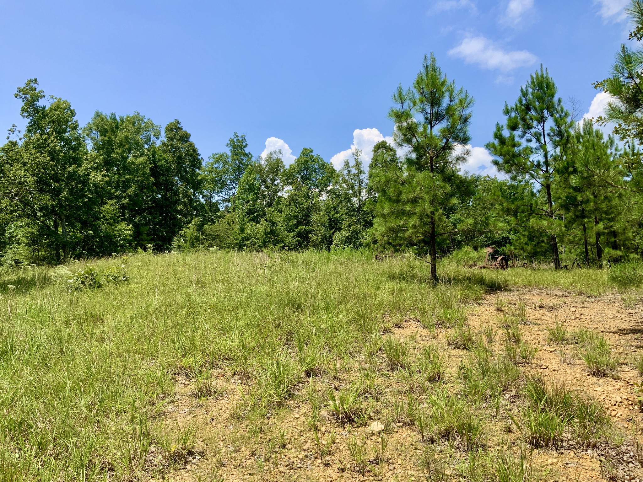 0 Bear Creek Road Property Photo 4
