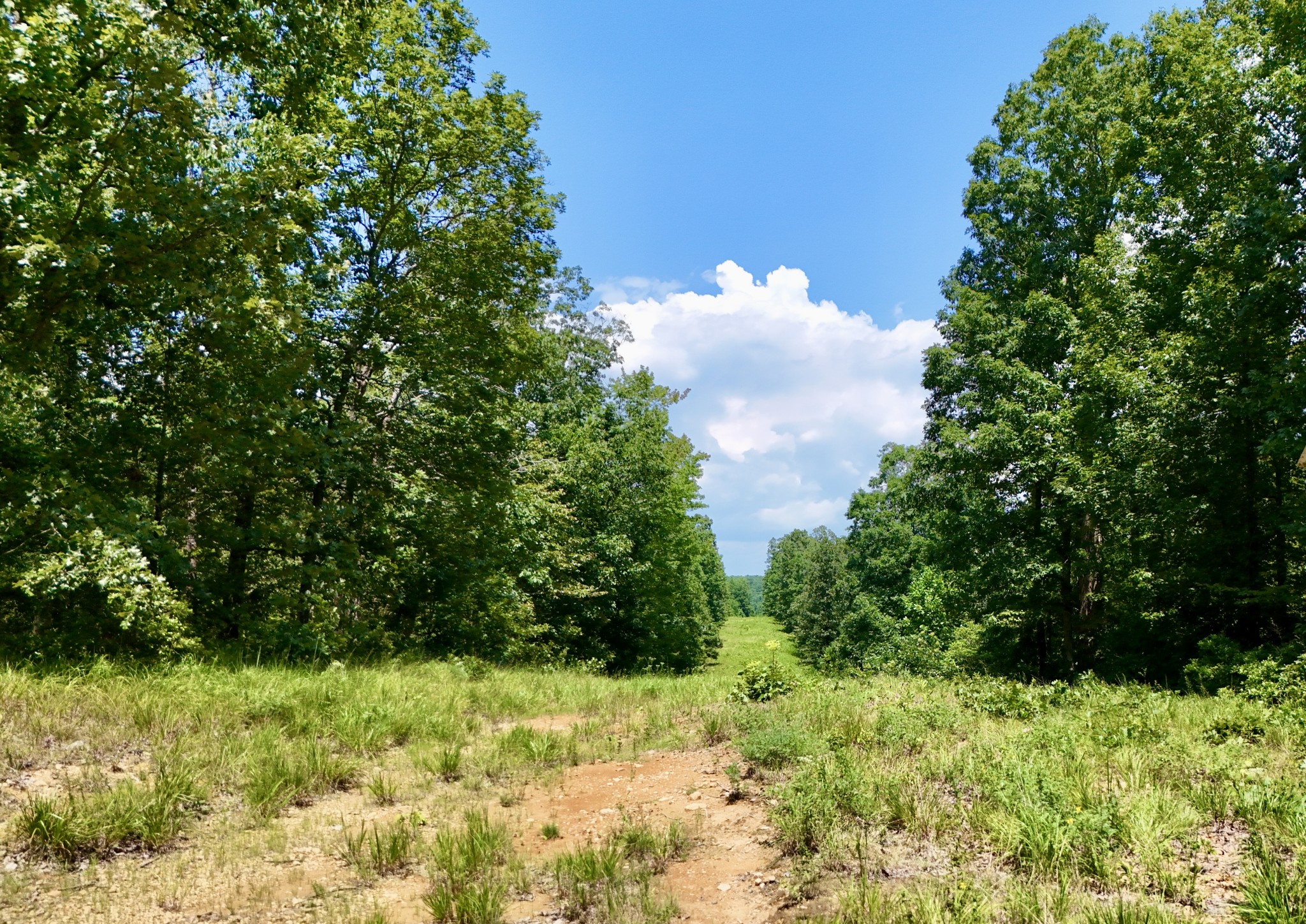 0 Bear Creek Road Property Photo 6