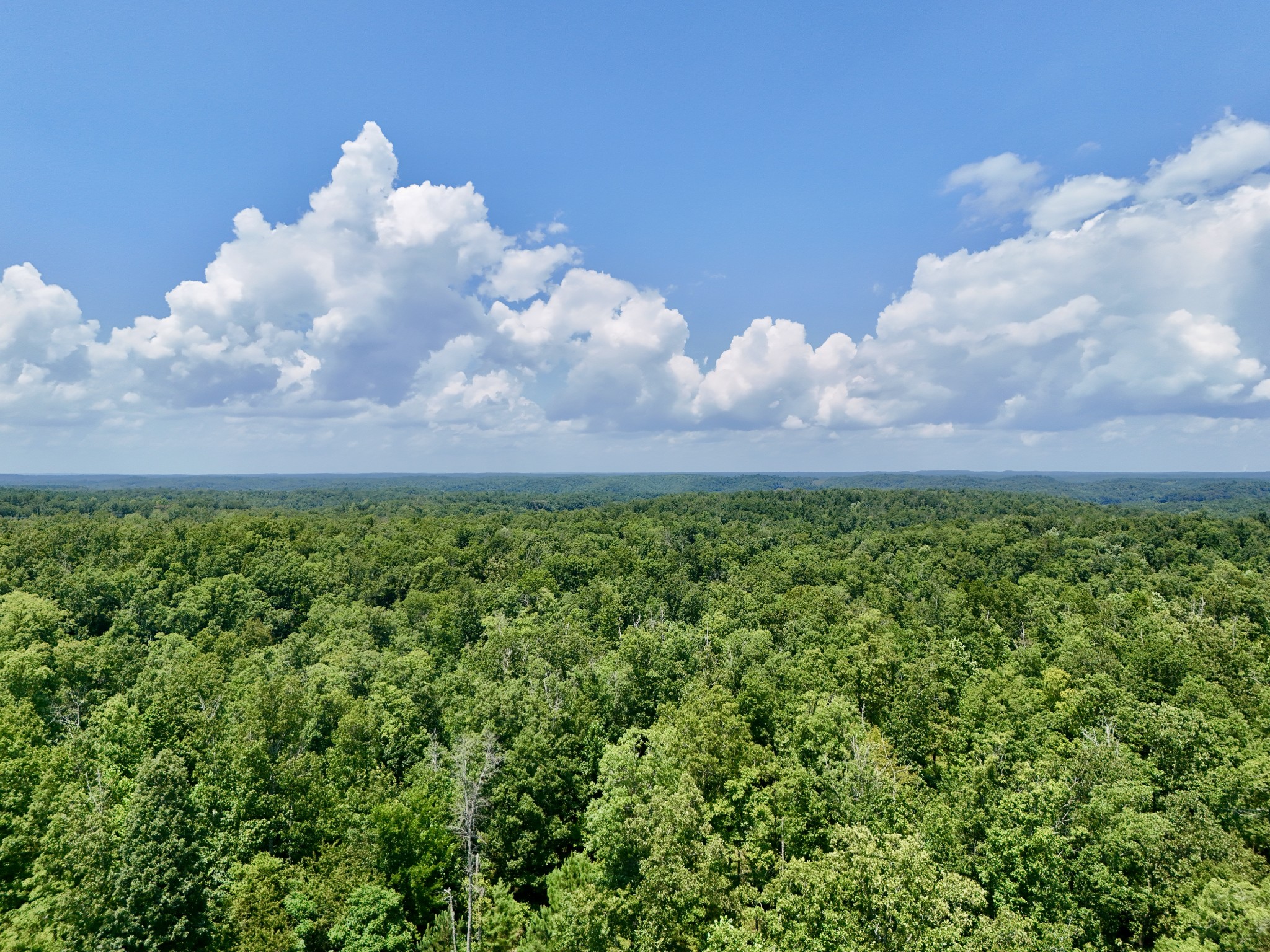 0 Bear Creek Road Property Photo 7