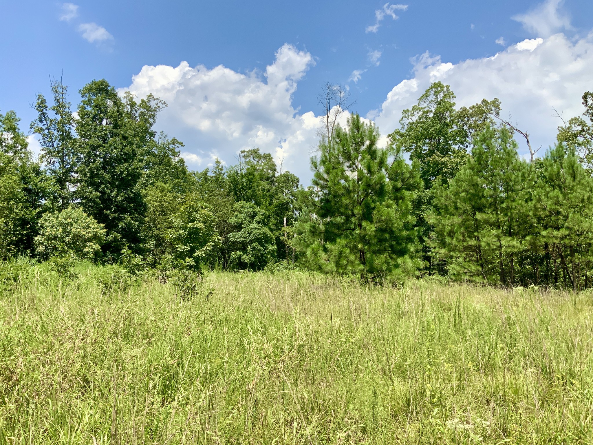 0 Bear Creek Road Property Photo 8