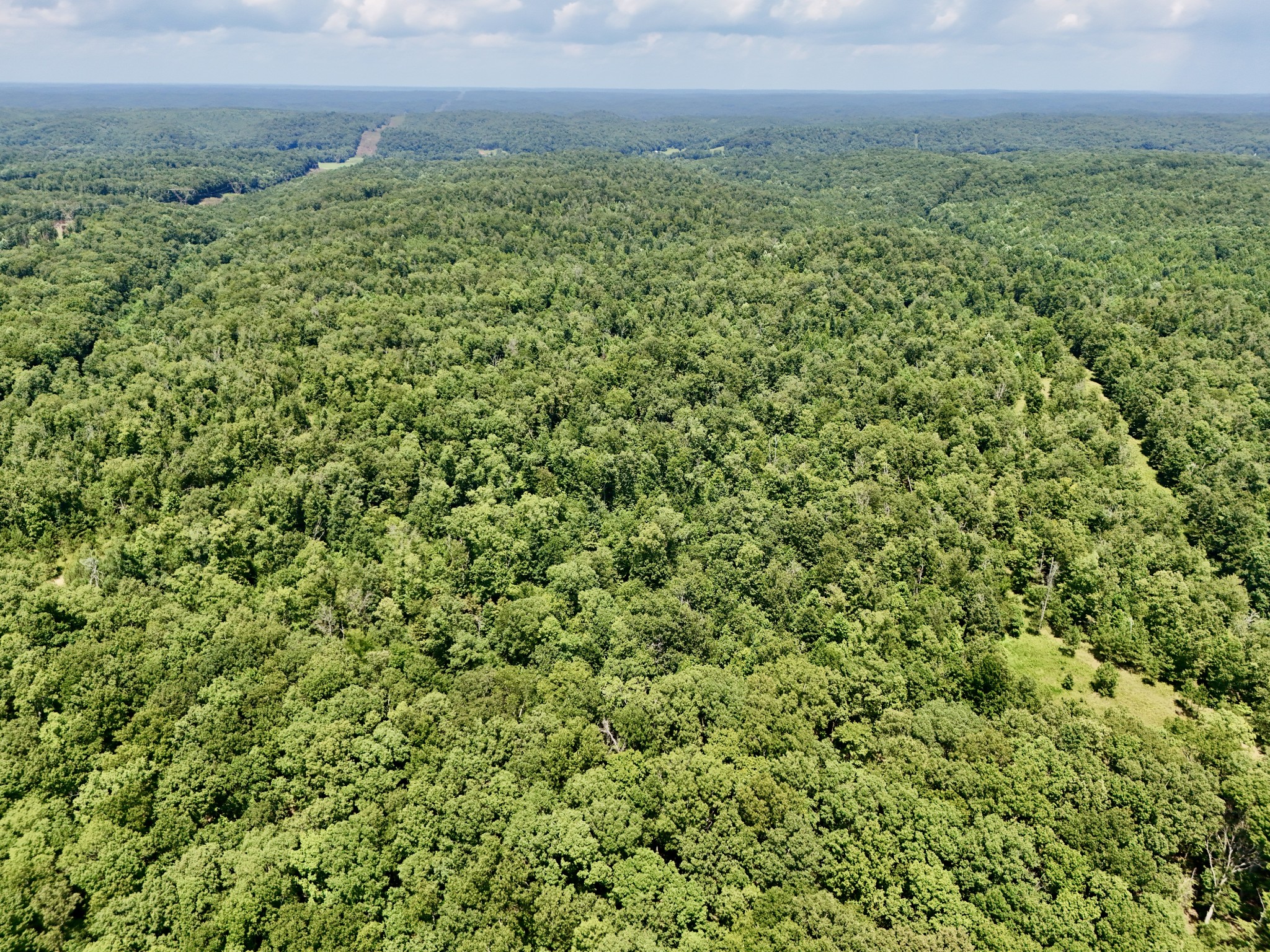 0 Bear Creek Road Property Photo 9