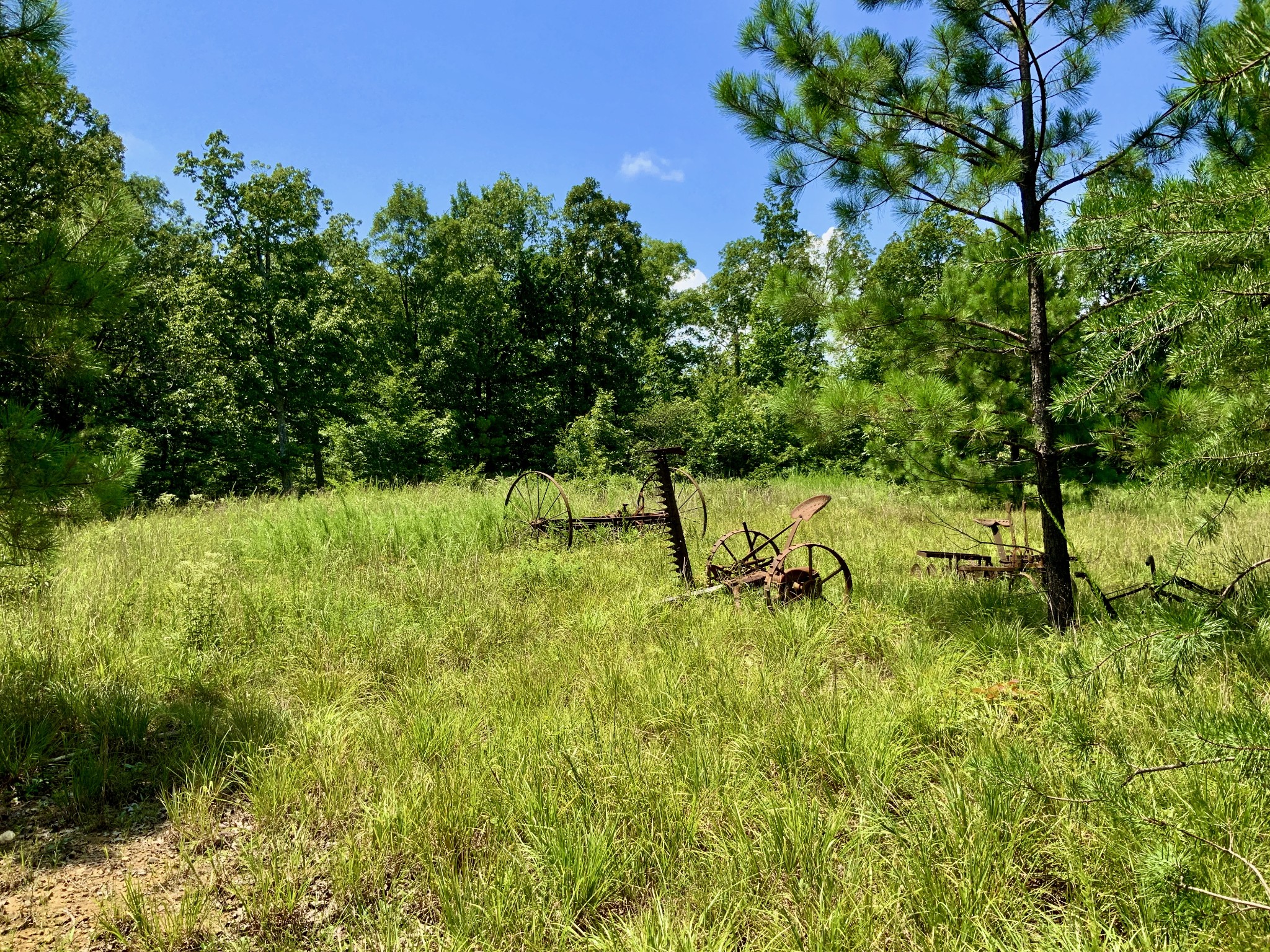 0 Bear Creek Road Property Photo 11