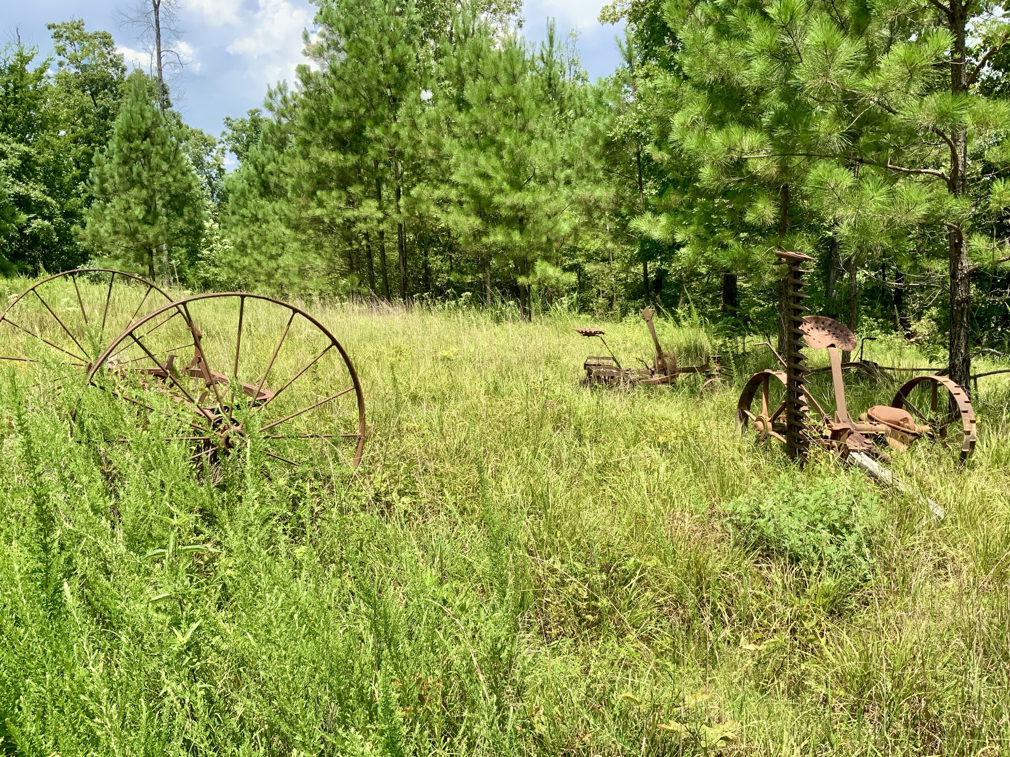 0 Bear Creek Road Property Photo 14