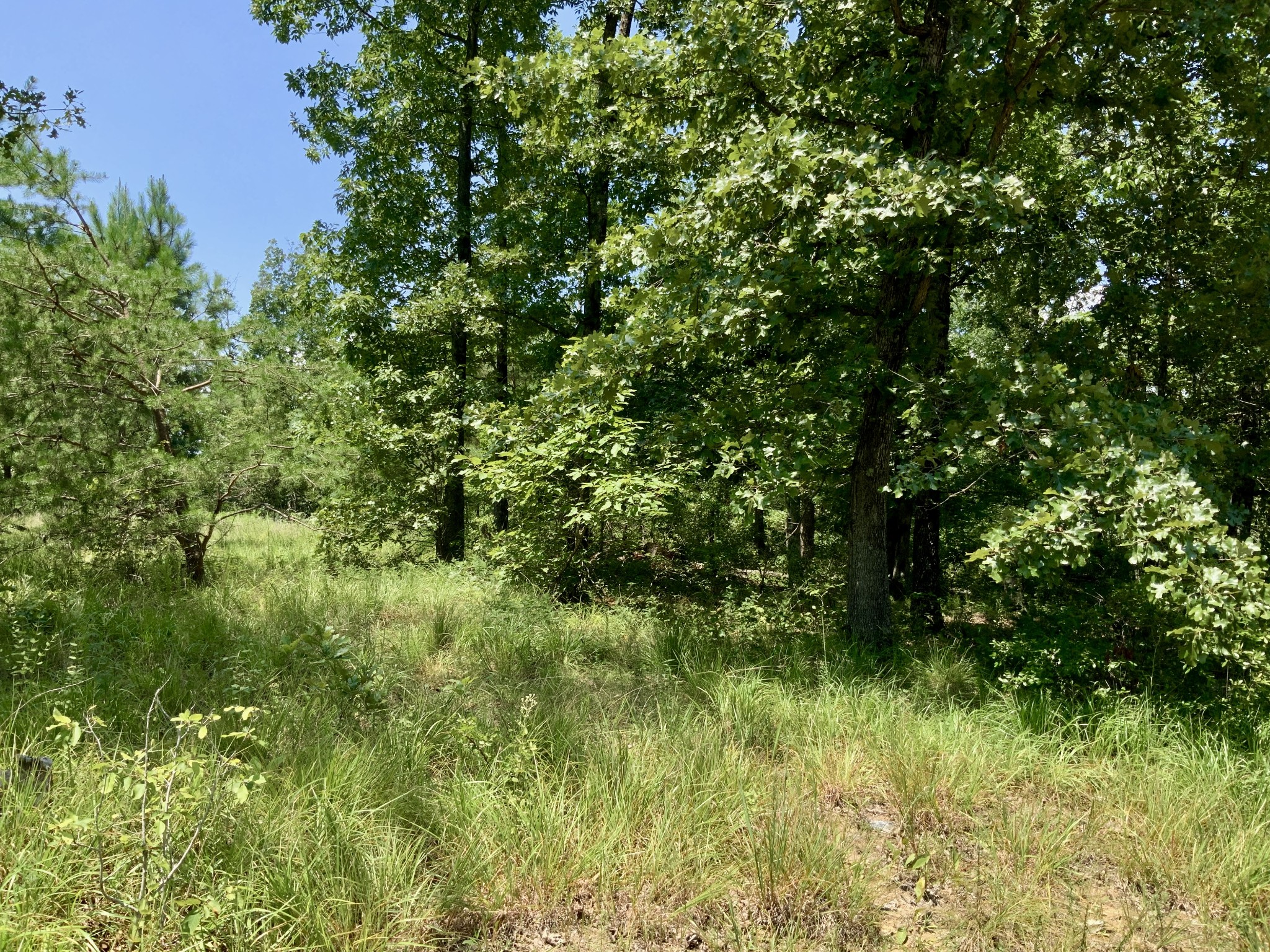 0 Bear Creek Road Property Photo 21