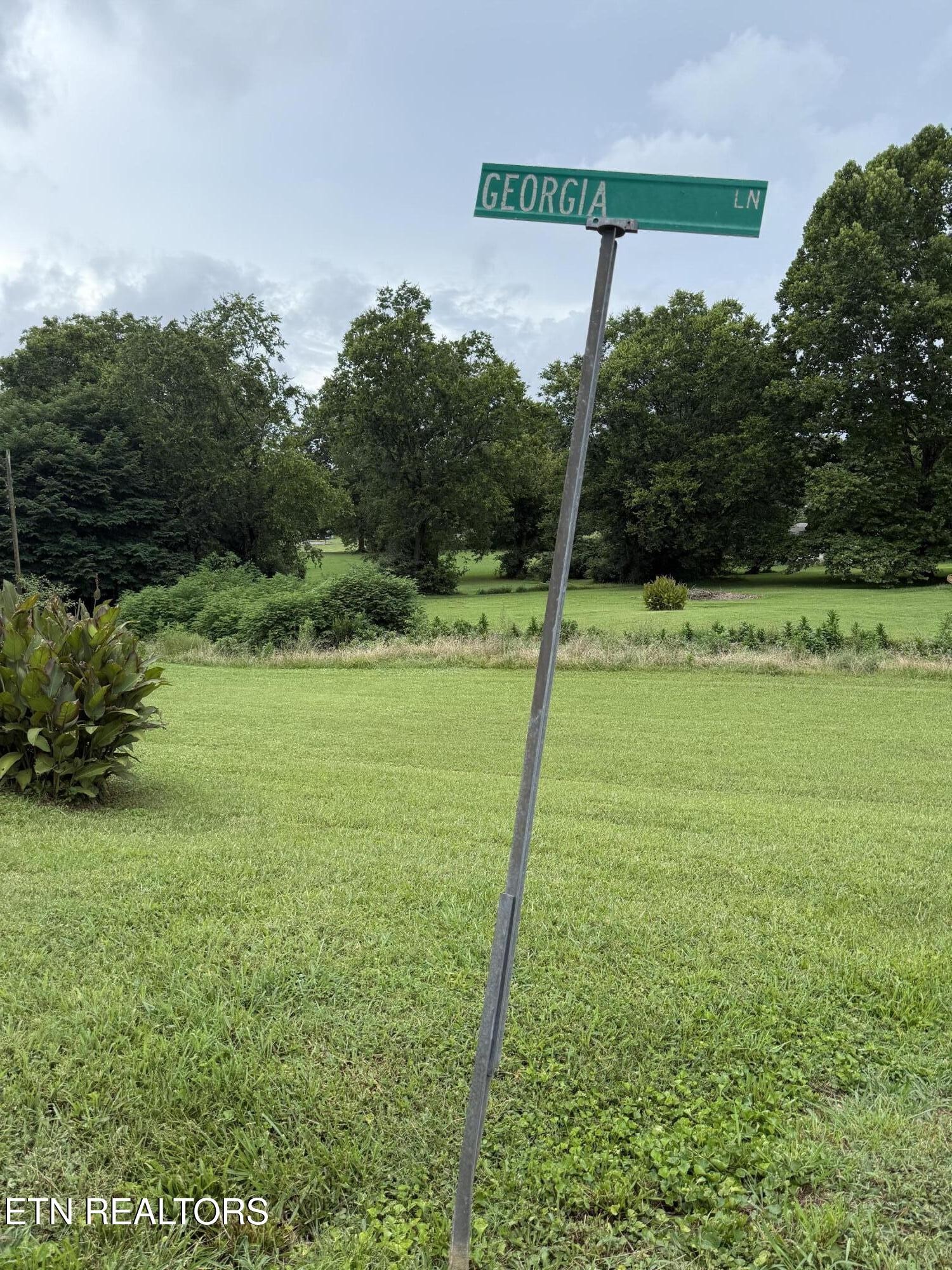 0 Georgia Lane Property Photo 1