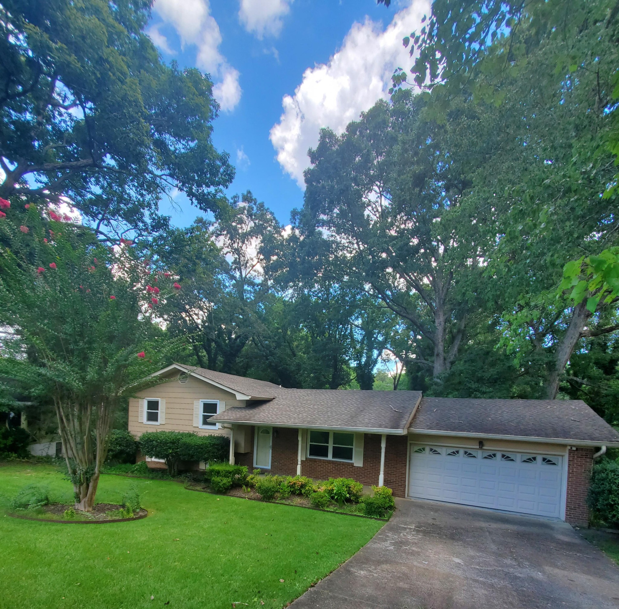 1603 Lisa Lynn Drive Property Photo 1