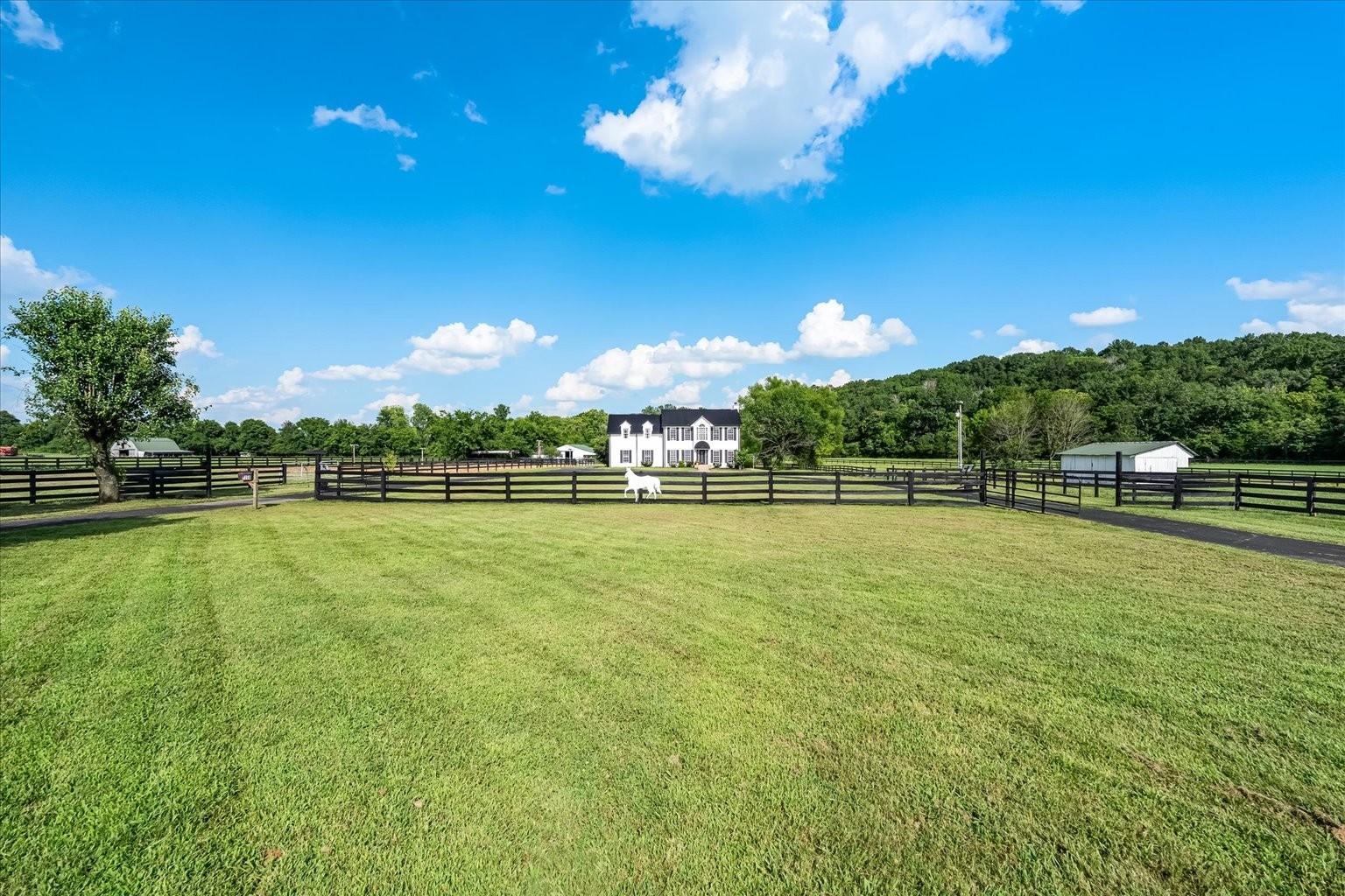 2359 Lewisburg Pike Property Photo 3