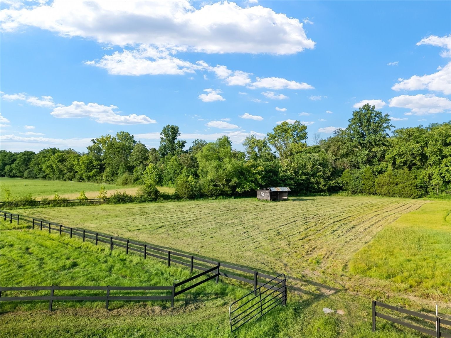 2359 Lewisburg Pike Property Photo 54