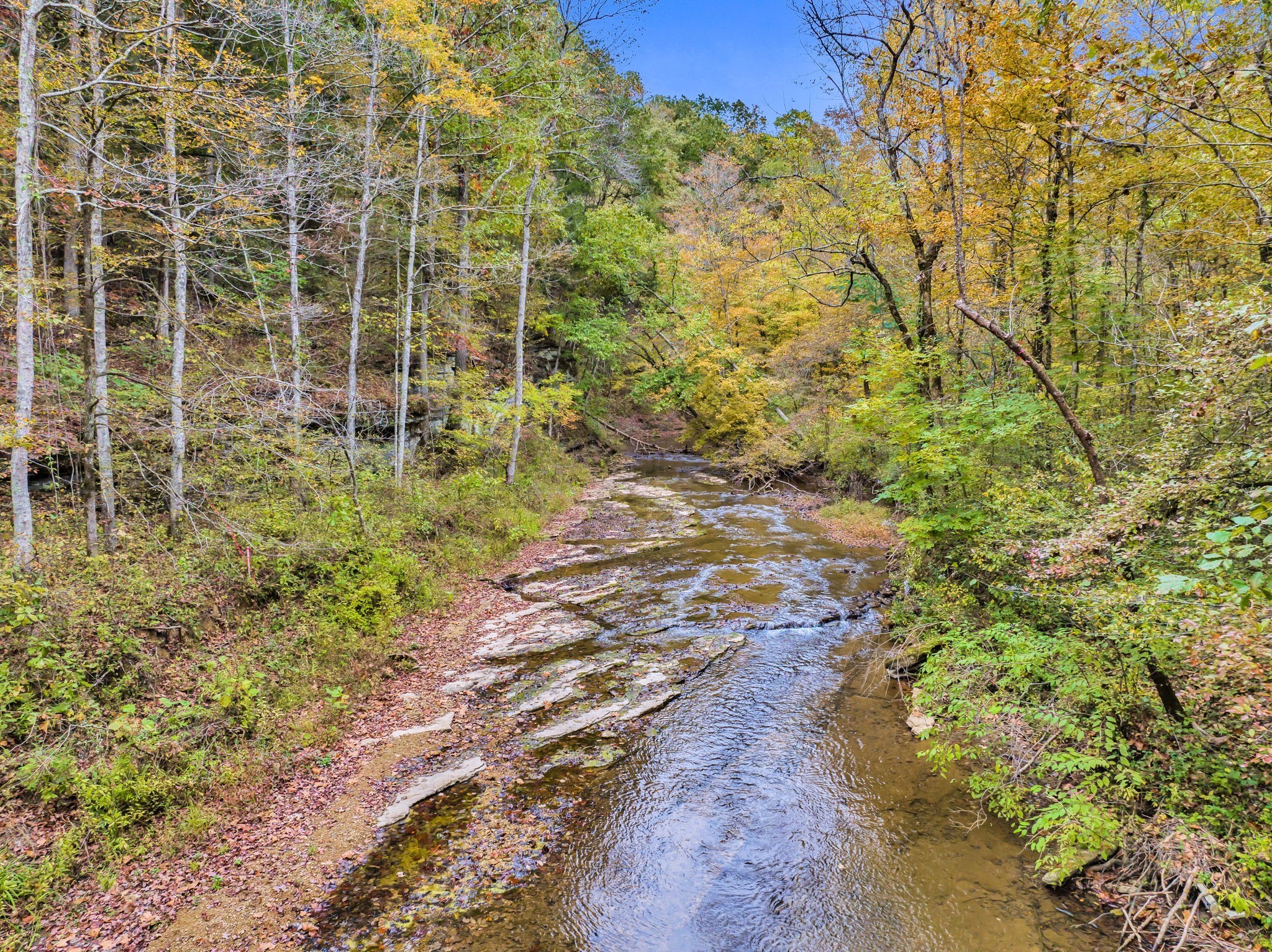 0 Bear Creek Rd Property Photo 1
