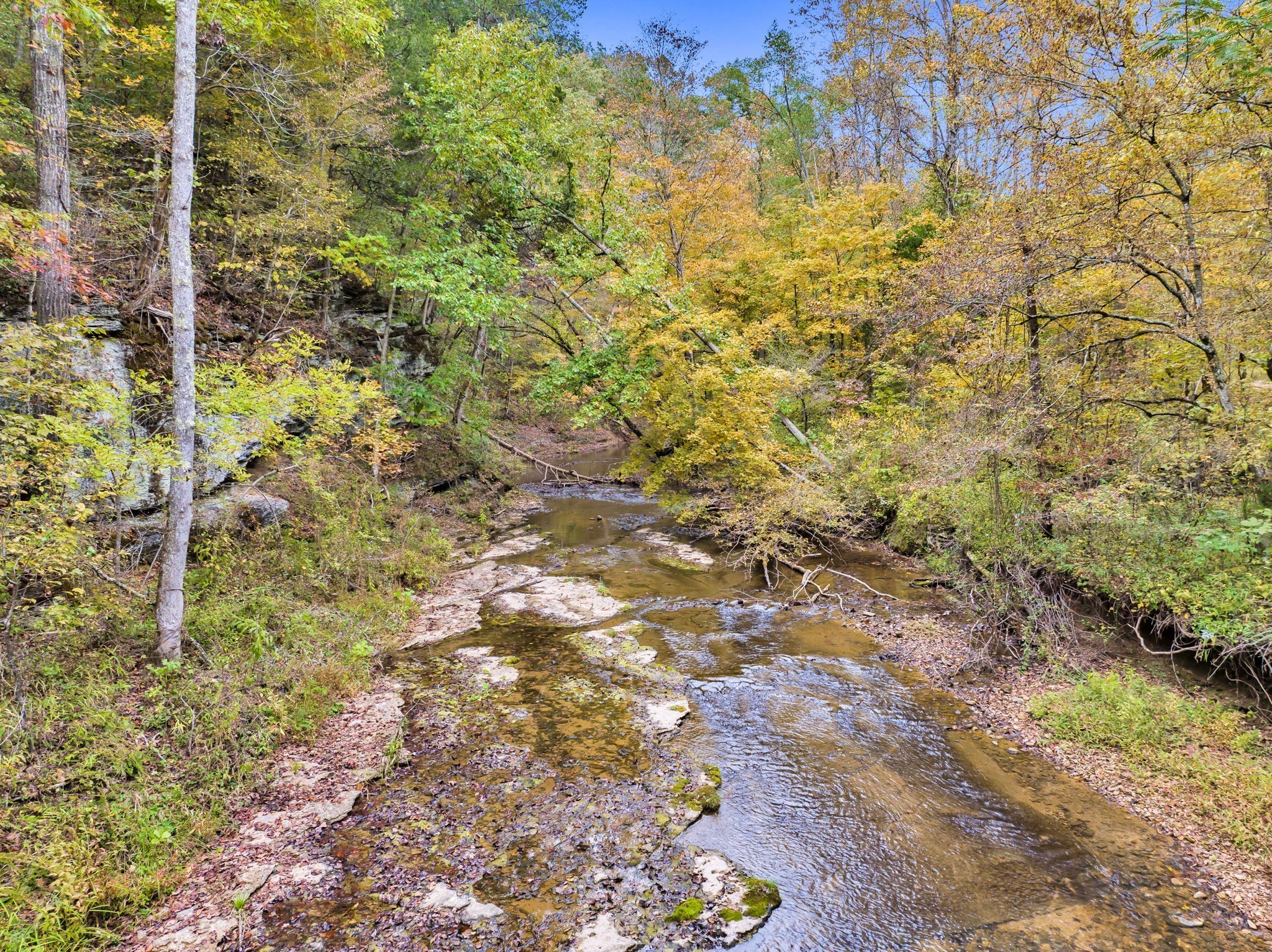 0 Bear Creek Rd Property Photo 8