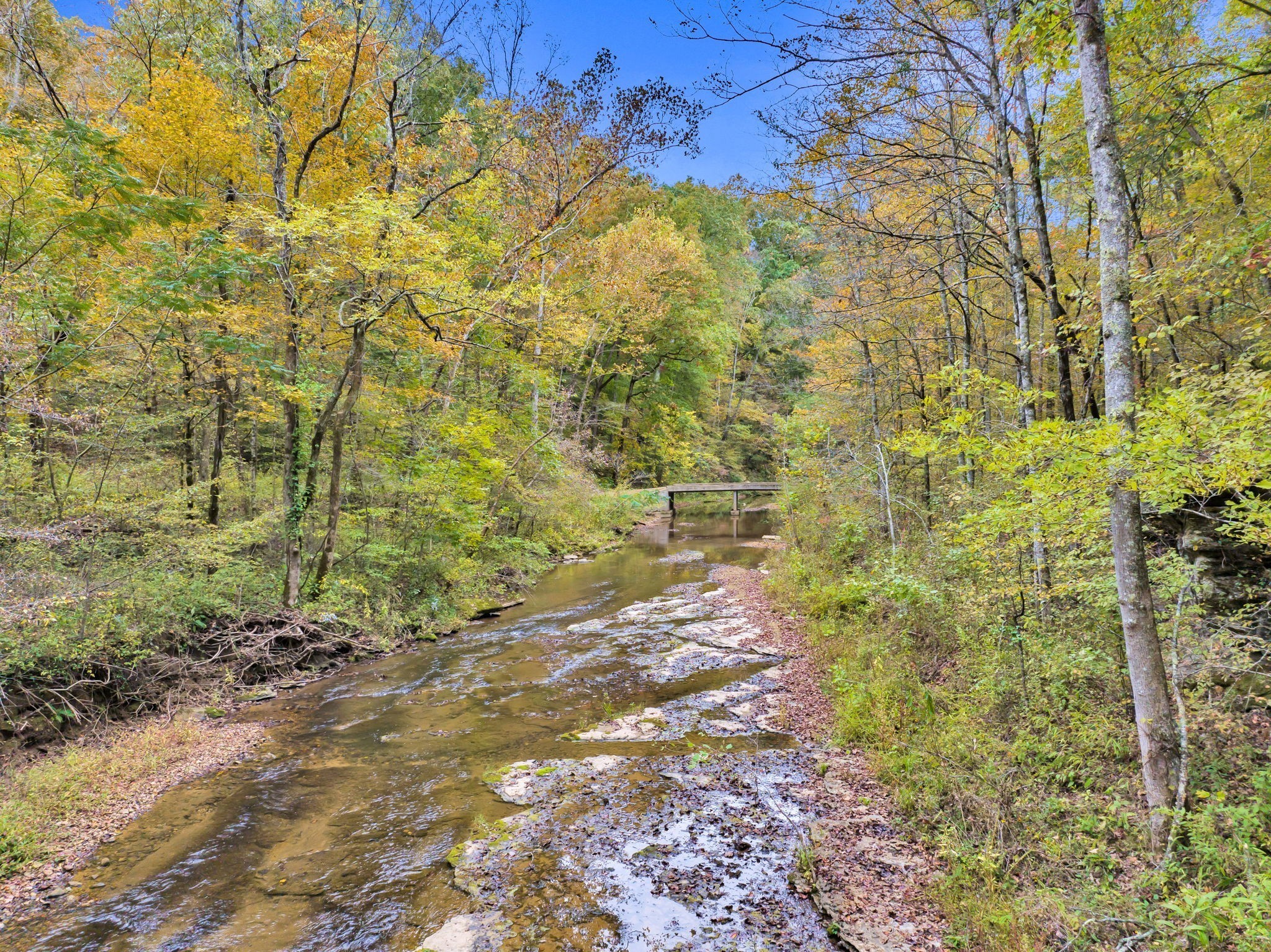 0 Bear Creek Rd Property Photo 9