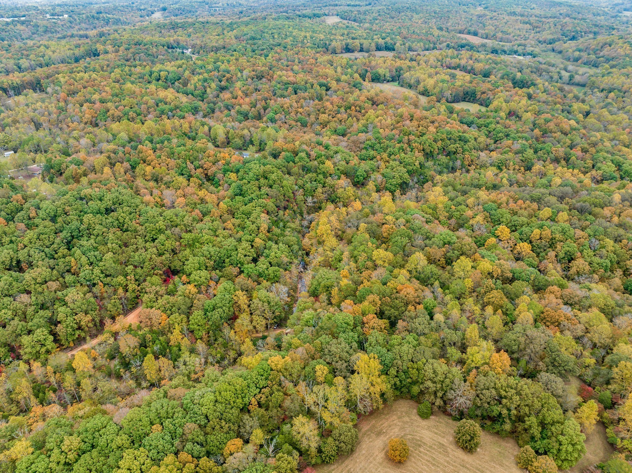 0 Bear Creek Rd Property Photo 17