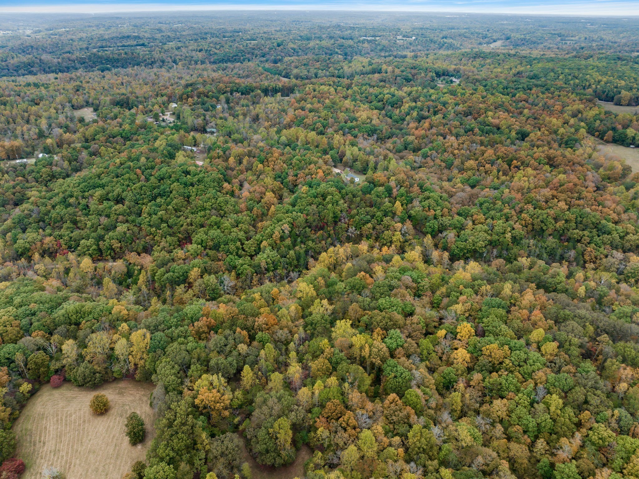 0 Bear Creek Rd Property Photo 19