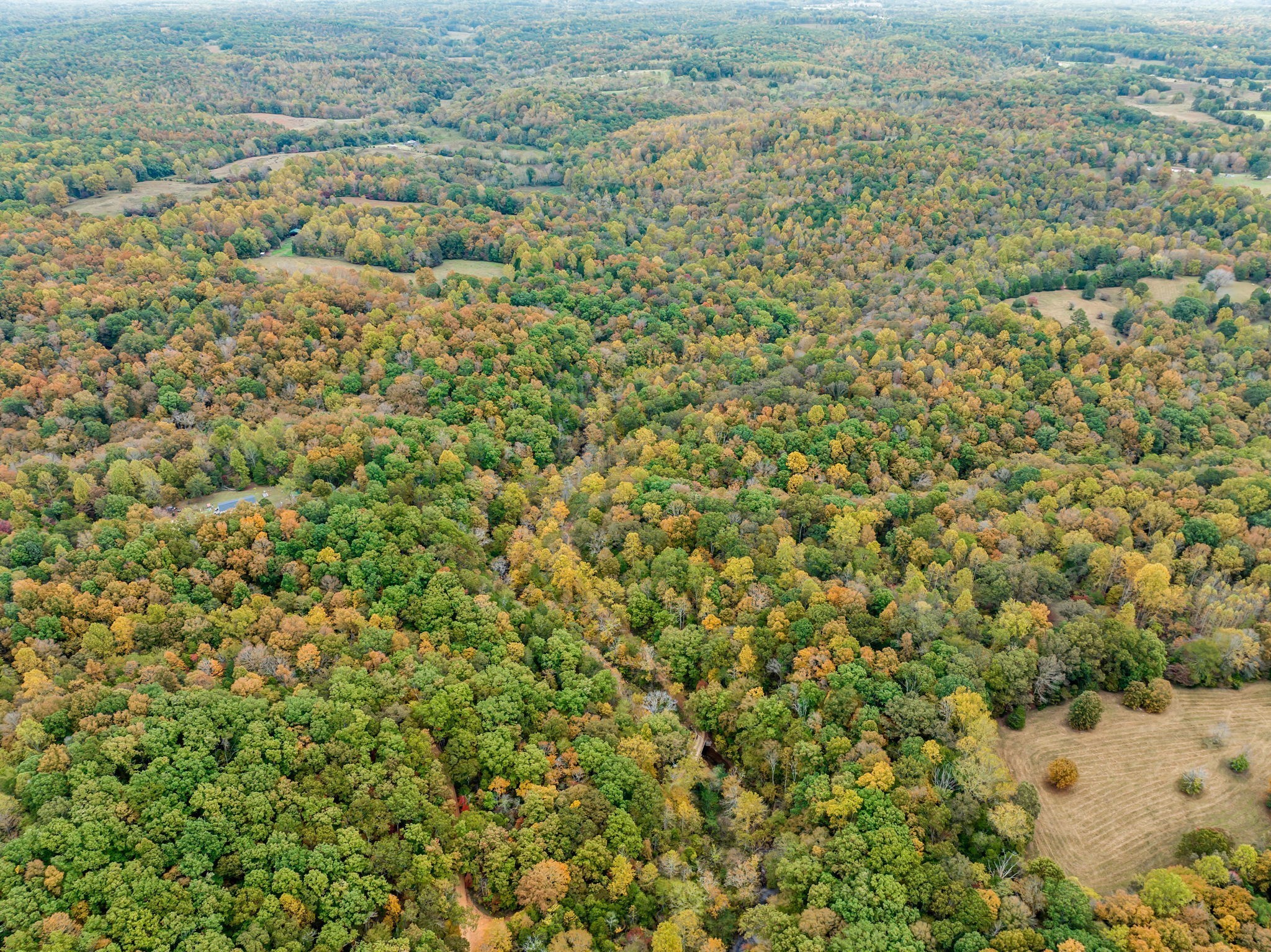 0 Bear Creek Rd Property Photo 32