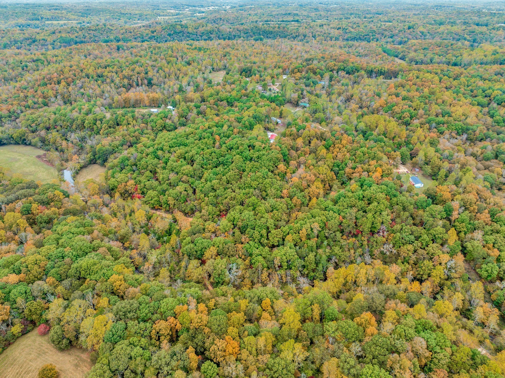 0 Bear Creek Rd Property Photo 39