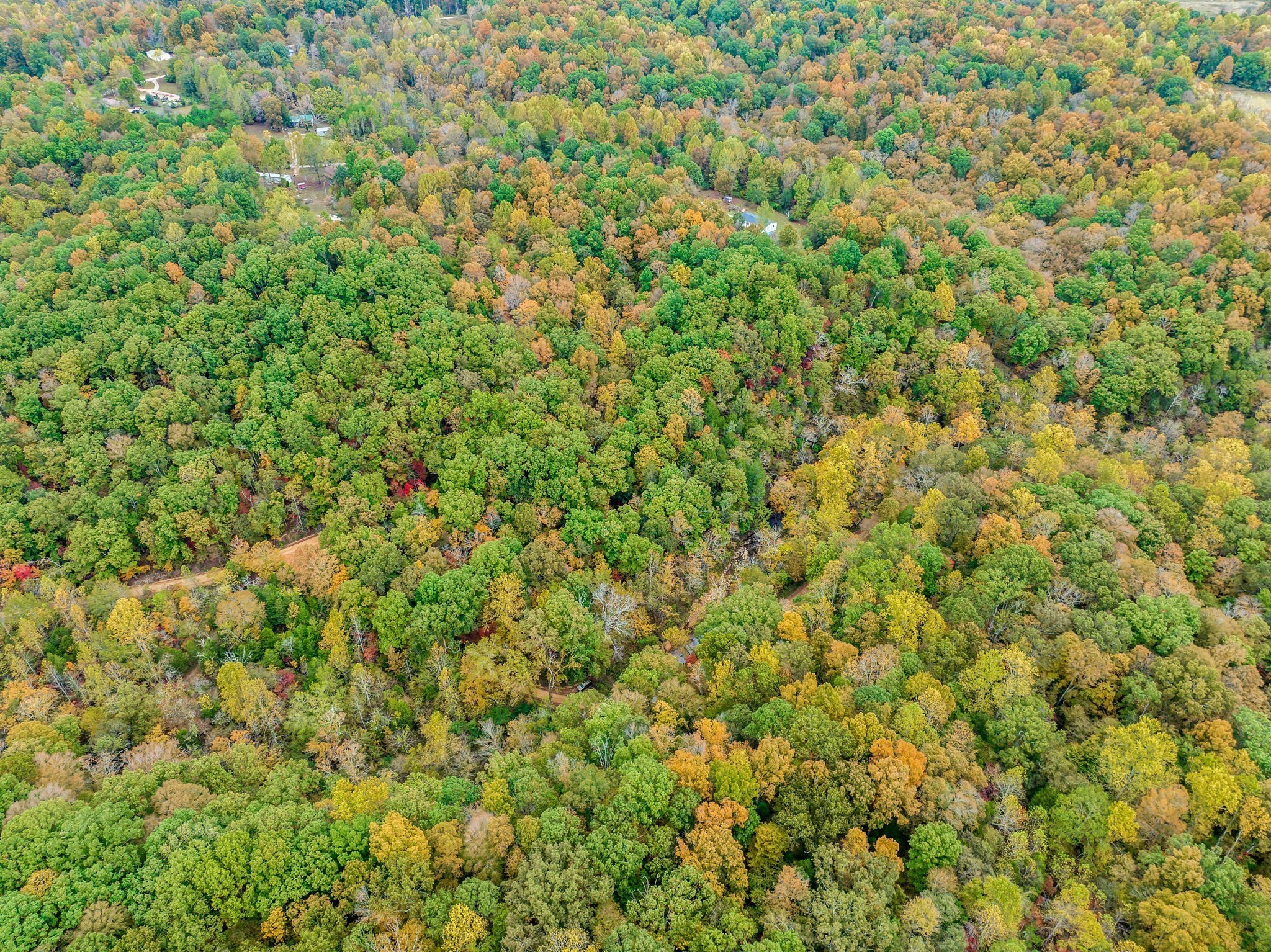 0 Bear Creek Rd Property Photo 56