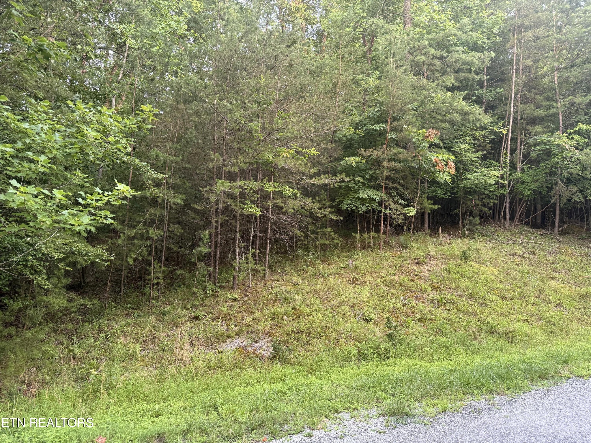 21 Valarian Terrace Property Photo 1