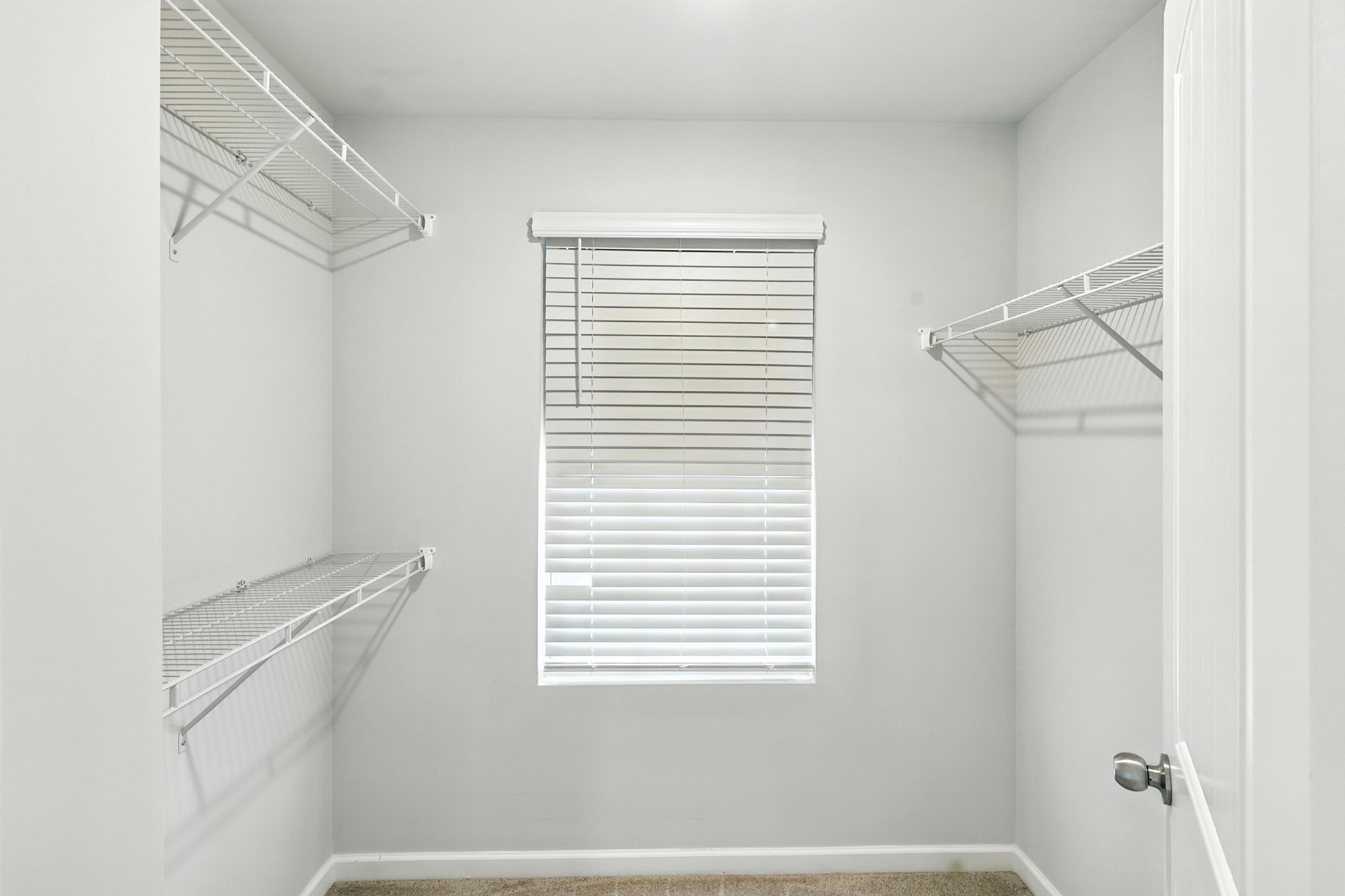 631 Longtail Ln Property Photo 28