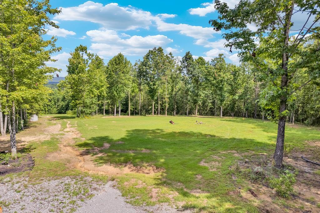 1280 Soak Creek Ln Property Photo 1