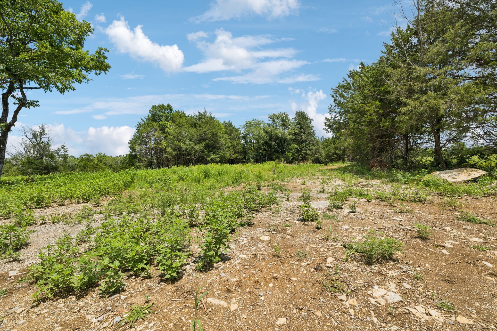 7665 Shelbyville Pike Property Photo 13