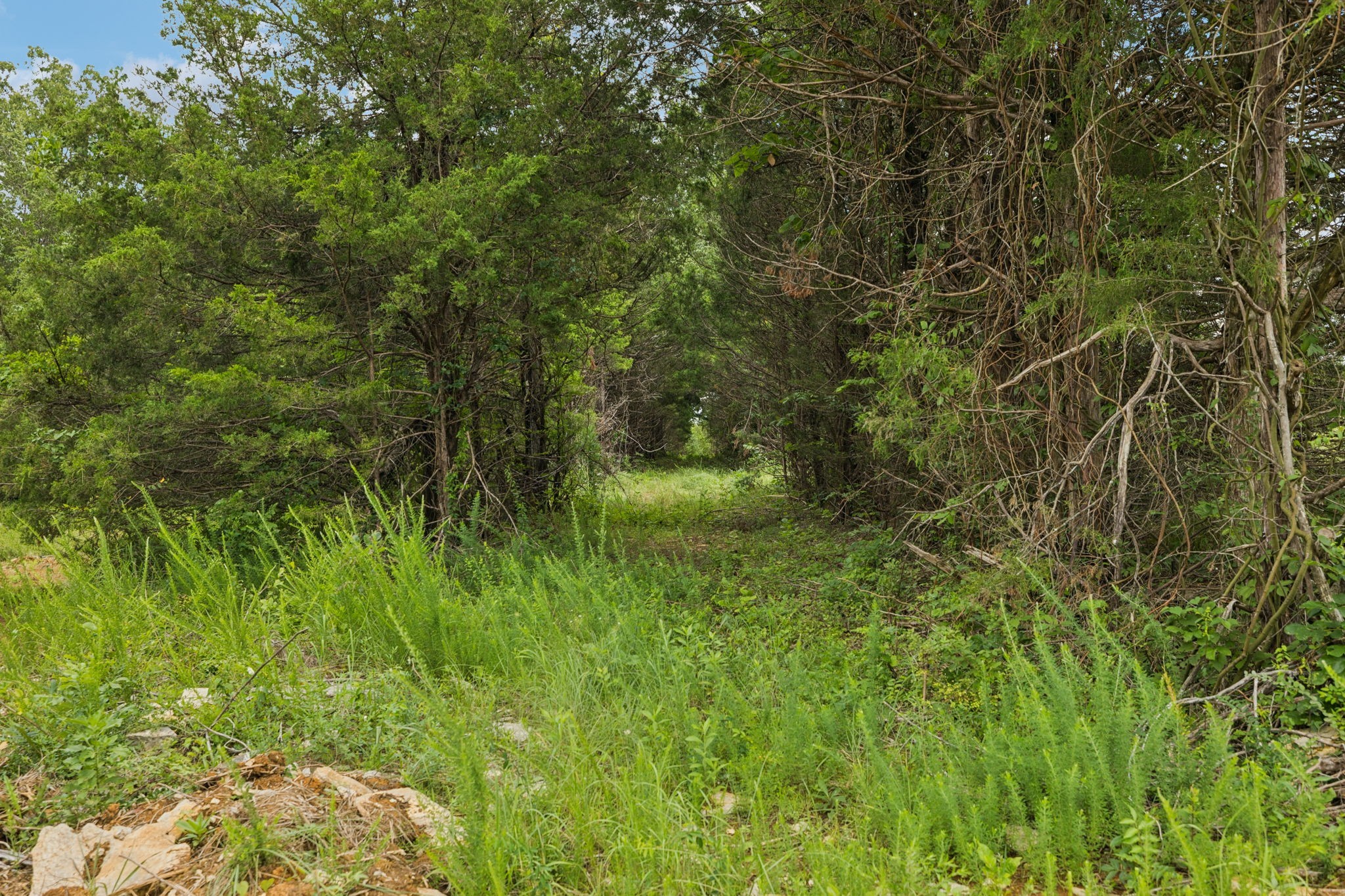 7665 Shelbyville Pike Property Photo 19